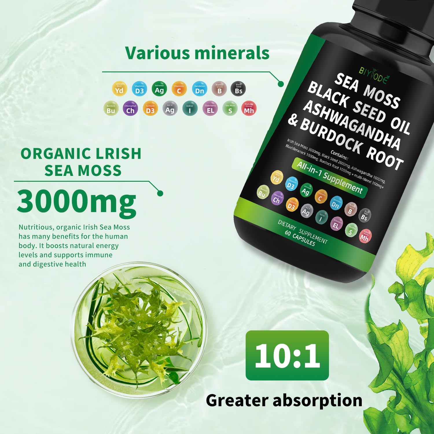 Sea Moss Capsules with Black Seed, Ashwagandha, Bladderwrack, and Burdock Root - 60 Capsules, 30 Day Supply