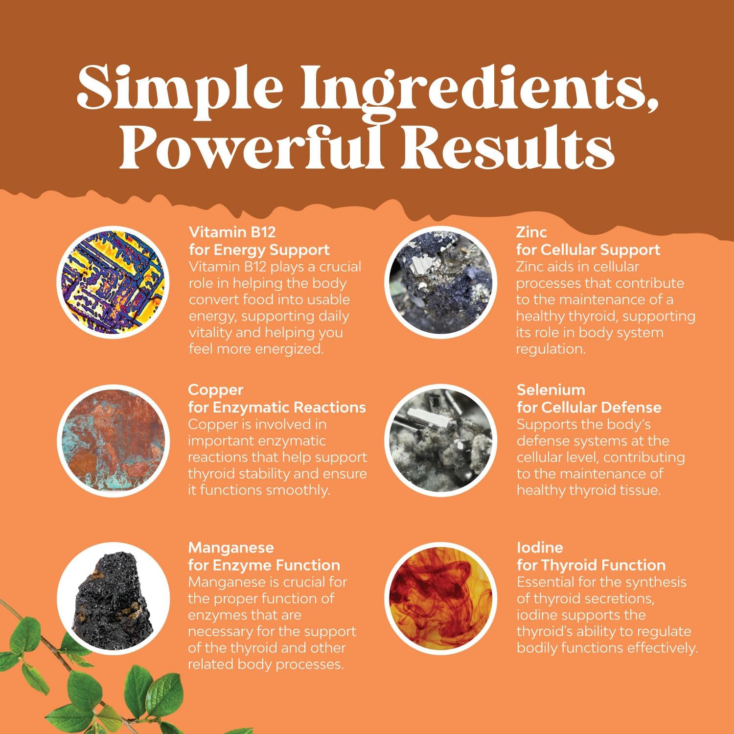 Sea Moss Thyroid Support Gummies - Vegan Formula with Iodine & Selenium - Men and Women Comprehensive Thyroid Support - Gelatin-Free & Non-GMO - 120 Gummies