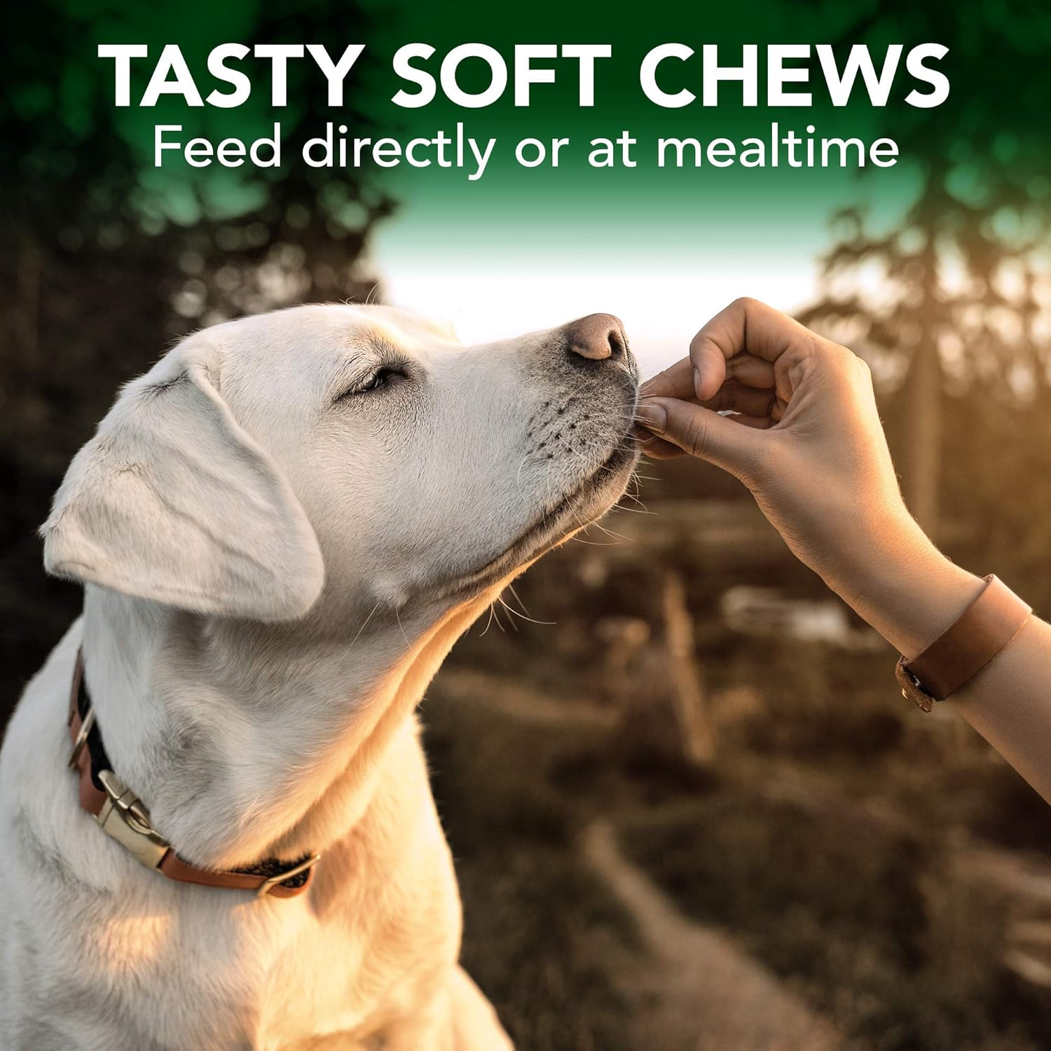 Seasonal Allergy Relief Soft Chews for Dogs | Soothes Skin Irritation from Allergies | 30 Day Supply