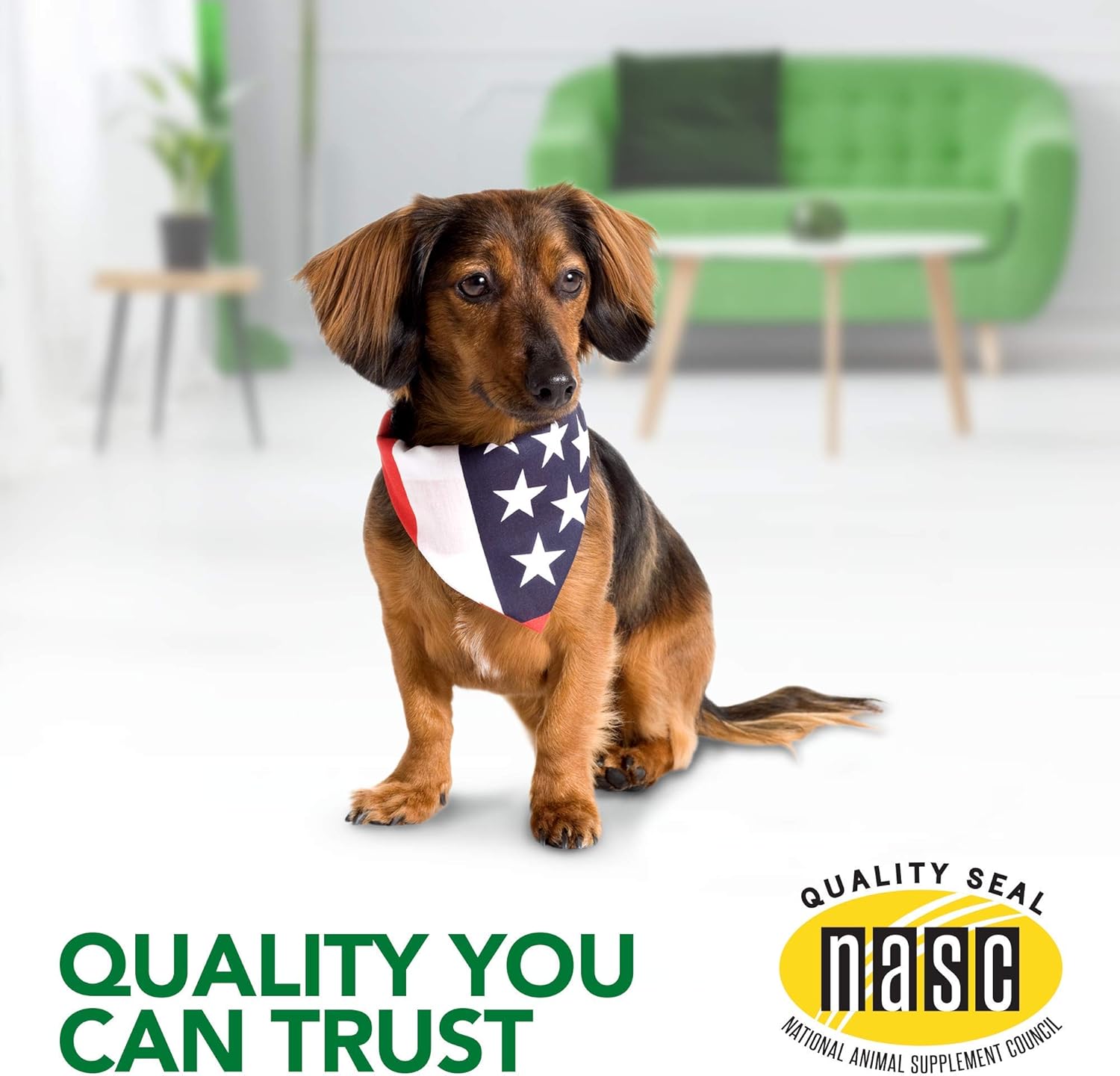 Seasonal Allergy Relief Soft Chews for Dogs | Soothes Skin Irritation from Allergies | 30 Day Supply