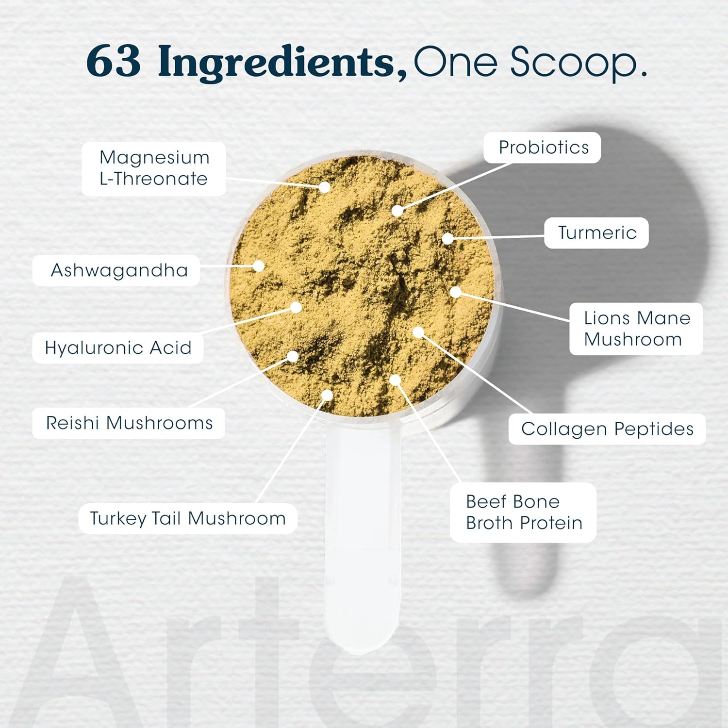 Senior Dog Supplement with 63 Premium Ingredients for Hip & Joint, Cognition, and Gut Health - Vet-Formulated for Longevity