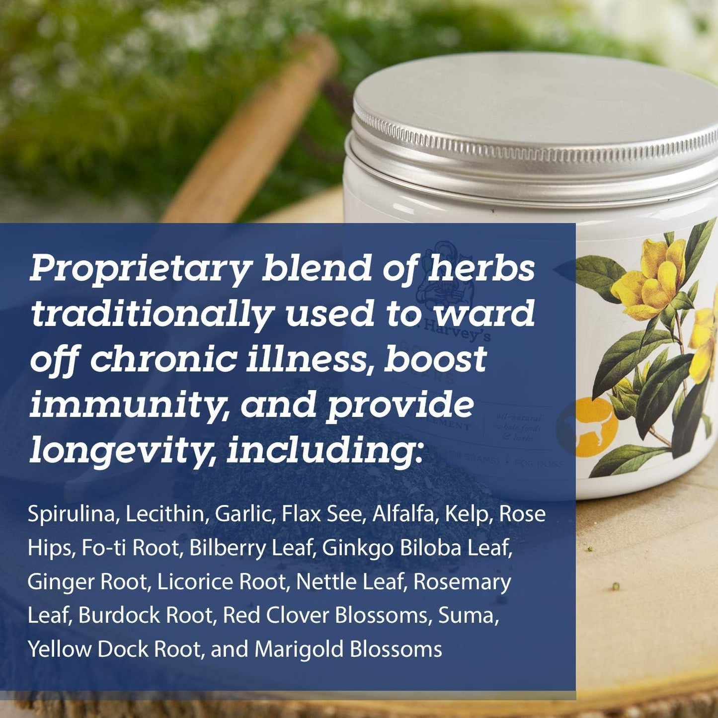 Senior Dogs' Golden Years Herbal Supplement by Dr. Harvey - 7 Oz