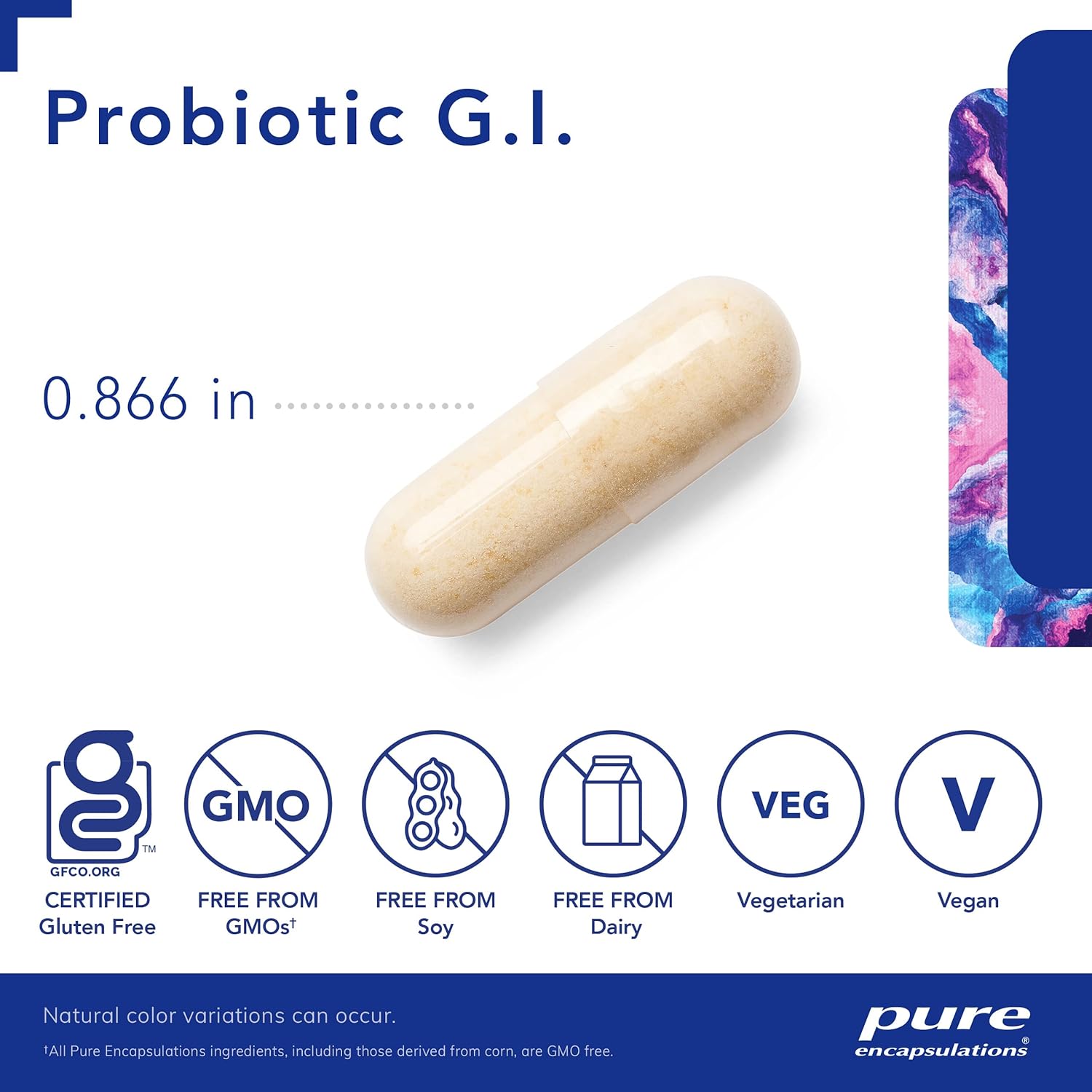Shelf Stable Probiotic G.I. Capsules for Intestinal & Gastrointestinal Support - Lactobacillus & Bifidobacterium - 30 Count