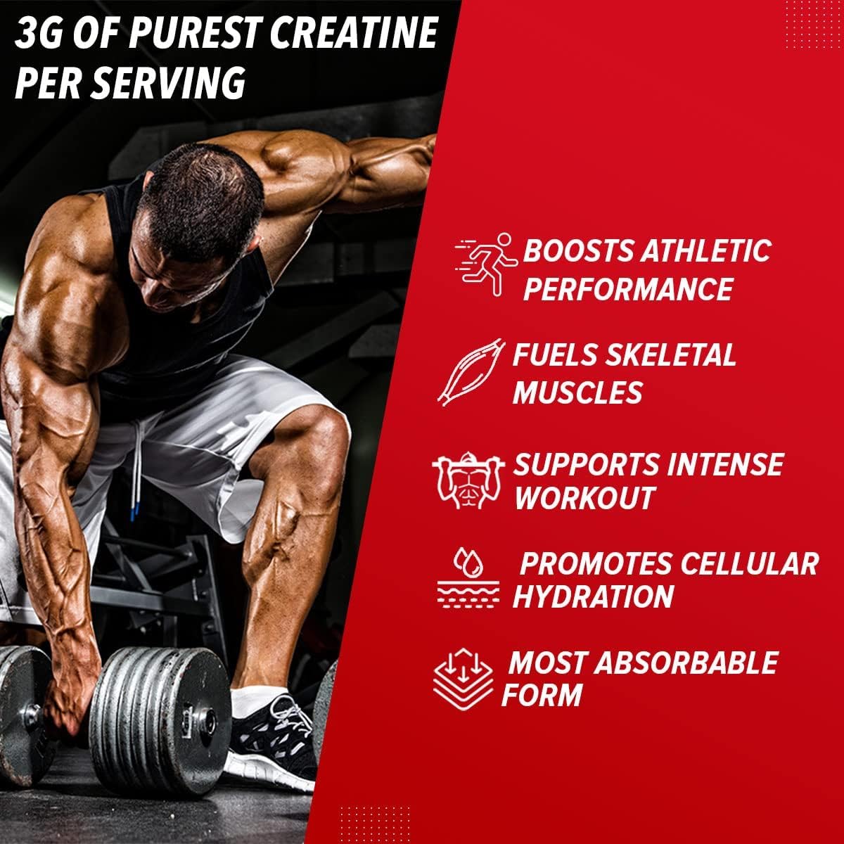 Sheltr Pro Performance Creatine Monohydrate Powder - Unflavoured 100g - Boost Athletic Performance, Fuel Muscles, Energy Support - Made in USA