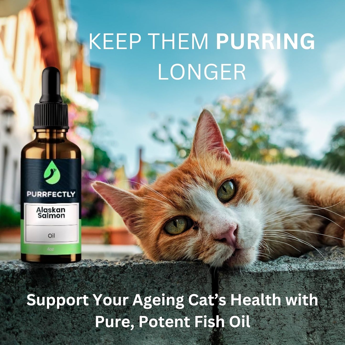 Sierra Life Sciences Premium Omega-3 Fish Oil for Senior Cats | Promotes Heart, Immune, Coat & Joint Health | Advanced Alaskan Salmon Oil Blend | Omega 3, 6 & 9 EPA & DHA (118 Servings)