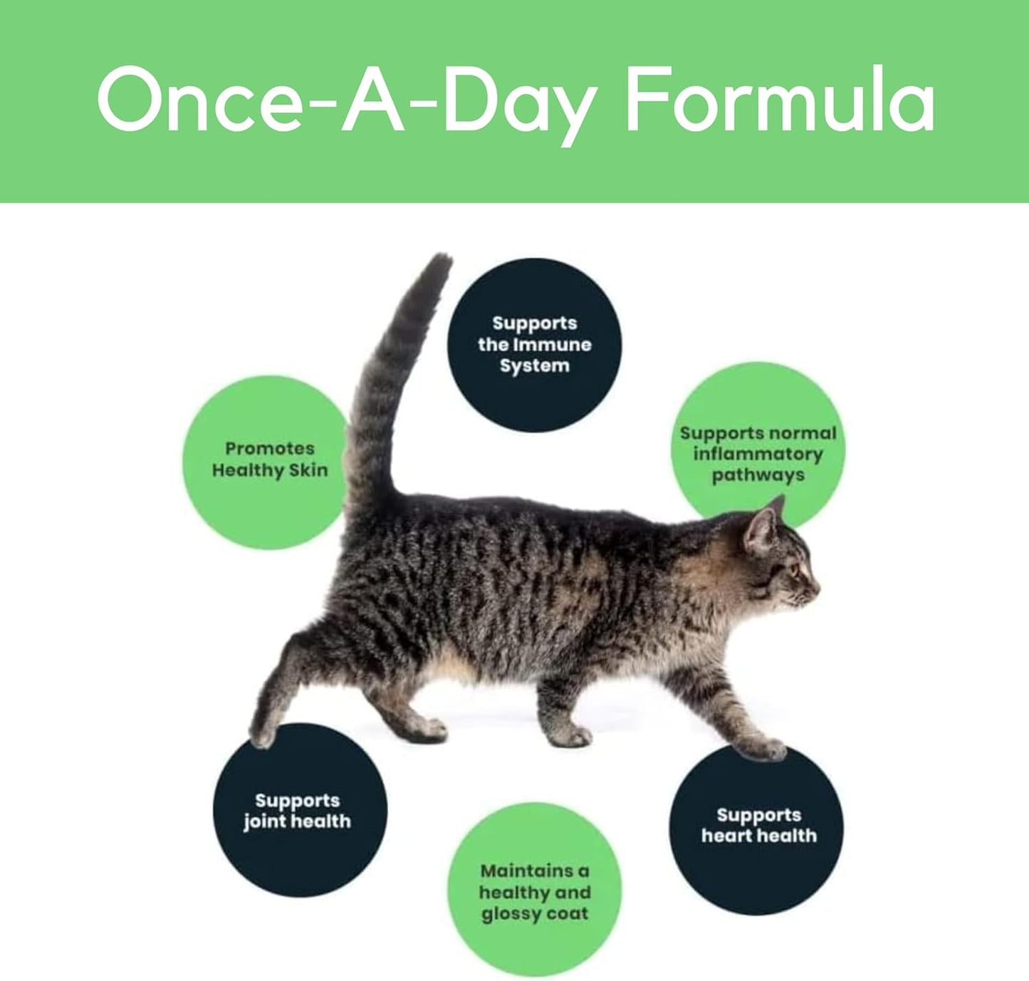 Sierra Life Sciences Premium Omega-3 Fish Oil for Senior Cats | Promotes Heart, Immune, Coat & Joint Health | Advanced Alaskan Salmon Oil Blend | Omega 3, 6 & 9 EPA & DHA (118 Servings)