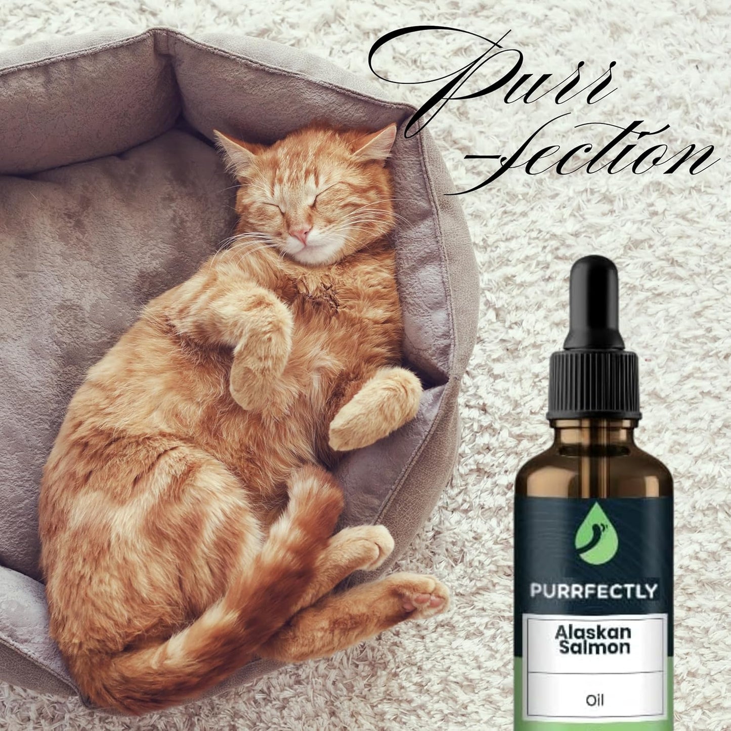 Sierra Life Sciences Premium Omega-3 Fish Oil for Senior Cats | Promotes Heart, Immune, Coat & Joint Health | Advanced Alaskan Salmon Oil Blend | Omega 3, 6 & 9 EPA & DHA (118 Servings)