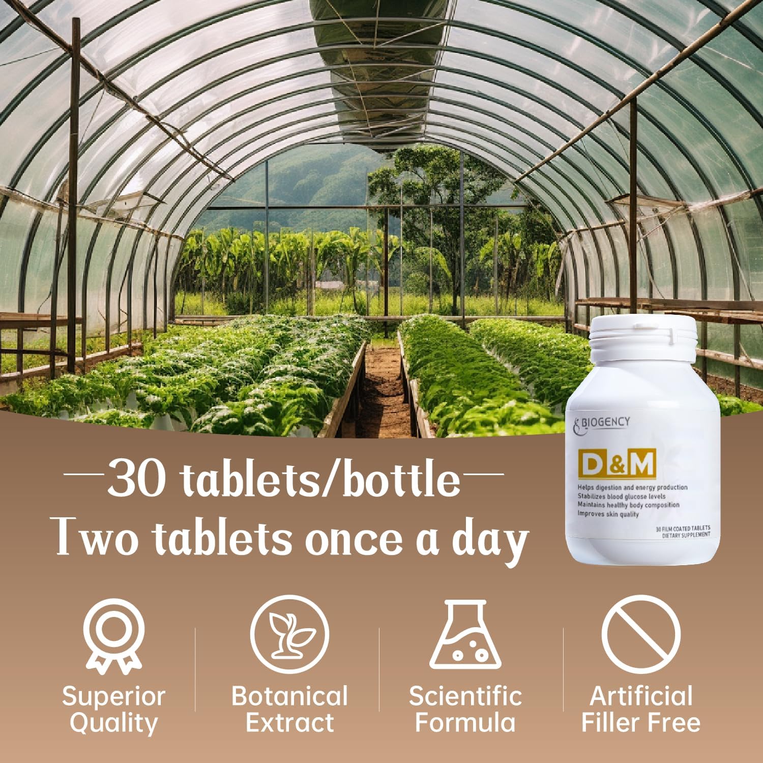 Skin Health Supplement with Folic Acid & B Vitamins - 30 Count Pack for Digestion & Energy Production