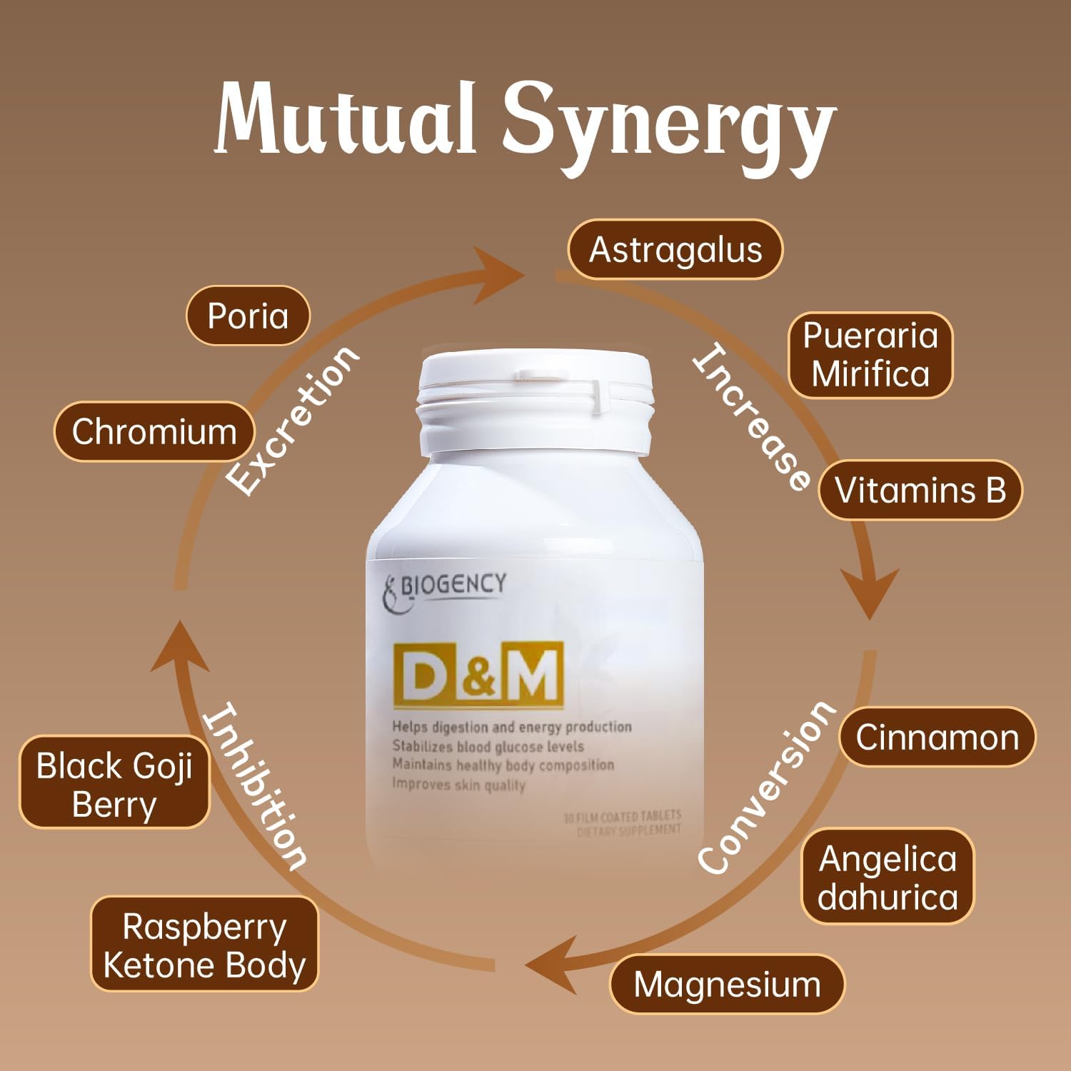 Skin Health Supplement with Folic Acid & B Vitamins - 30 Count Pack for Digestion & Energy Production