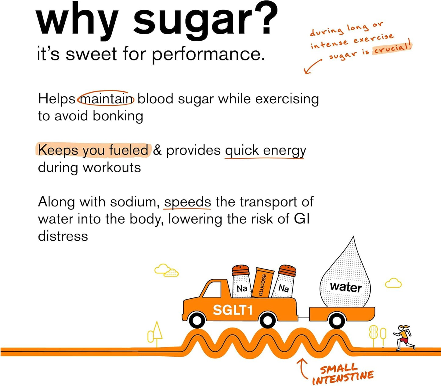 Skratch Labs Hydration Drink Mix Packets, Orange Flavor (20ct) - Electrolyte Powder for Athletes - Gluten Free, Vegan, Kosher