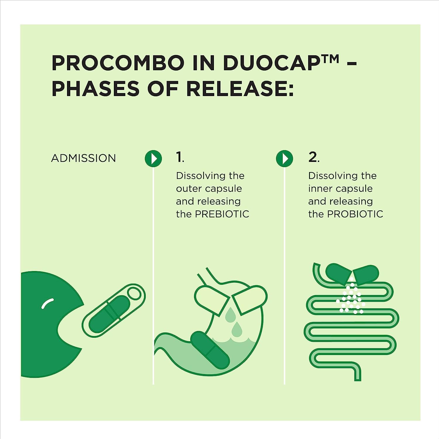 Smart Synbiotic ProCombo: Double Capsule & Liquid Formula for Fast Results - 5 Pack, 1 Capsule per Day