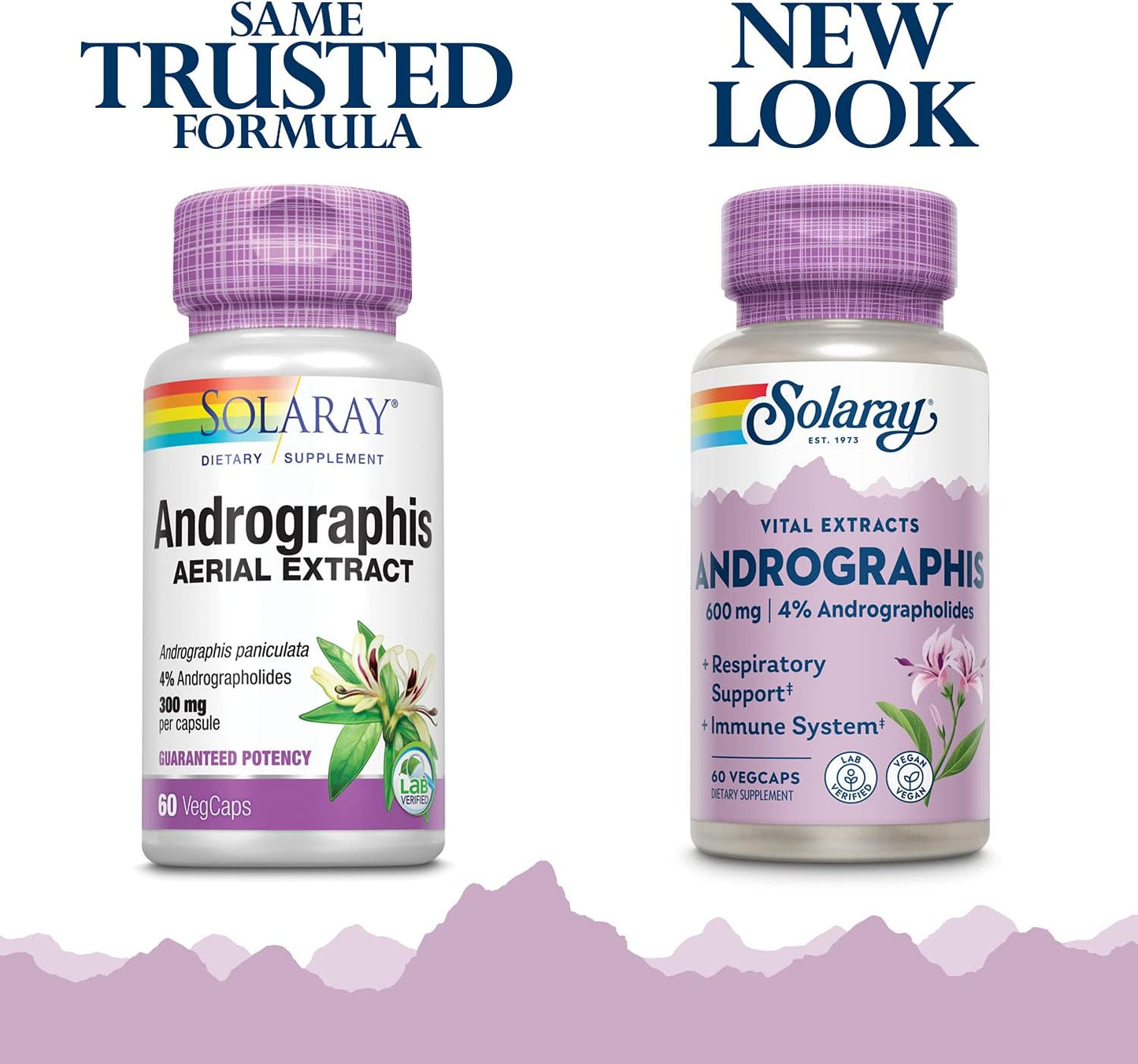 Solaray Andrographis Aerial Extract 600 mg VegCaps - Immune & Respiratory Support - 30 Servings