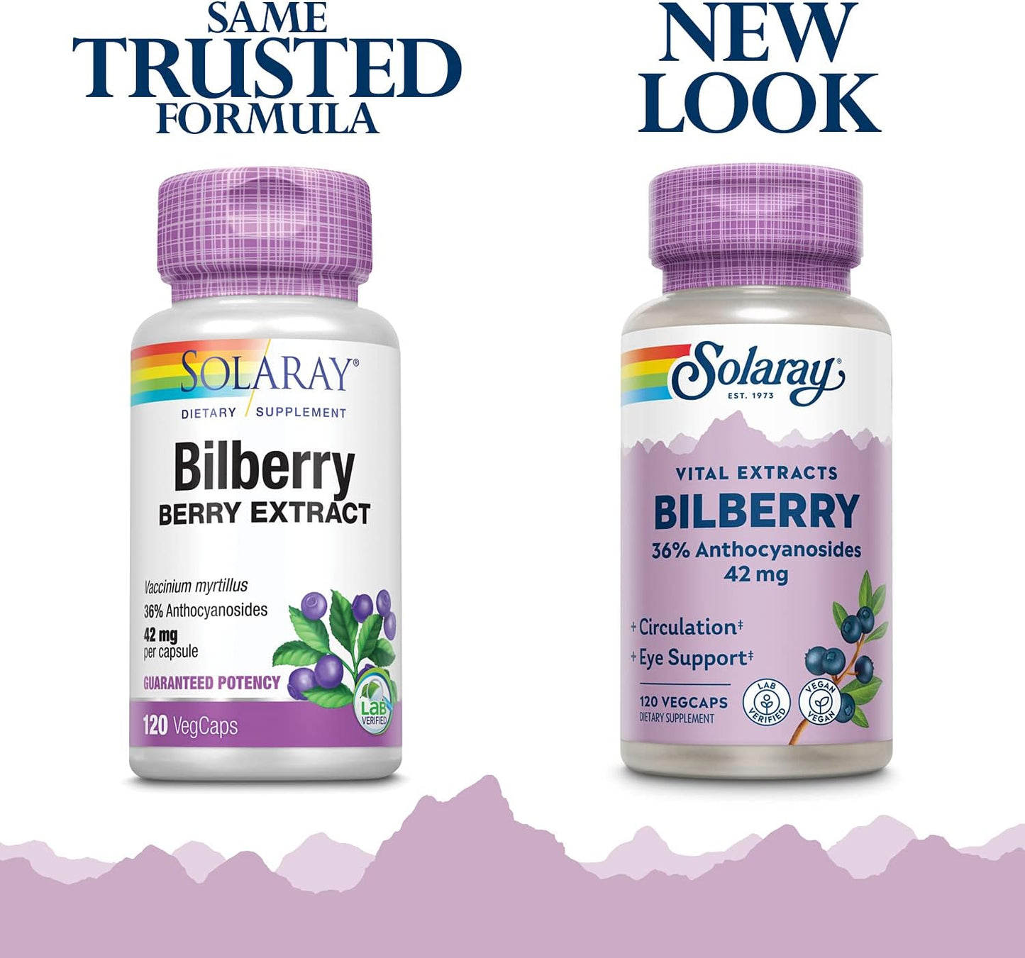 Solaray Bilberry Berry Extract 42mg VegCaps - Eye & Circulation Support, 36% Anthocyanosides, Vegan - 120 Count