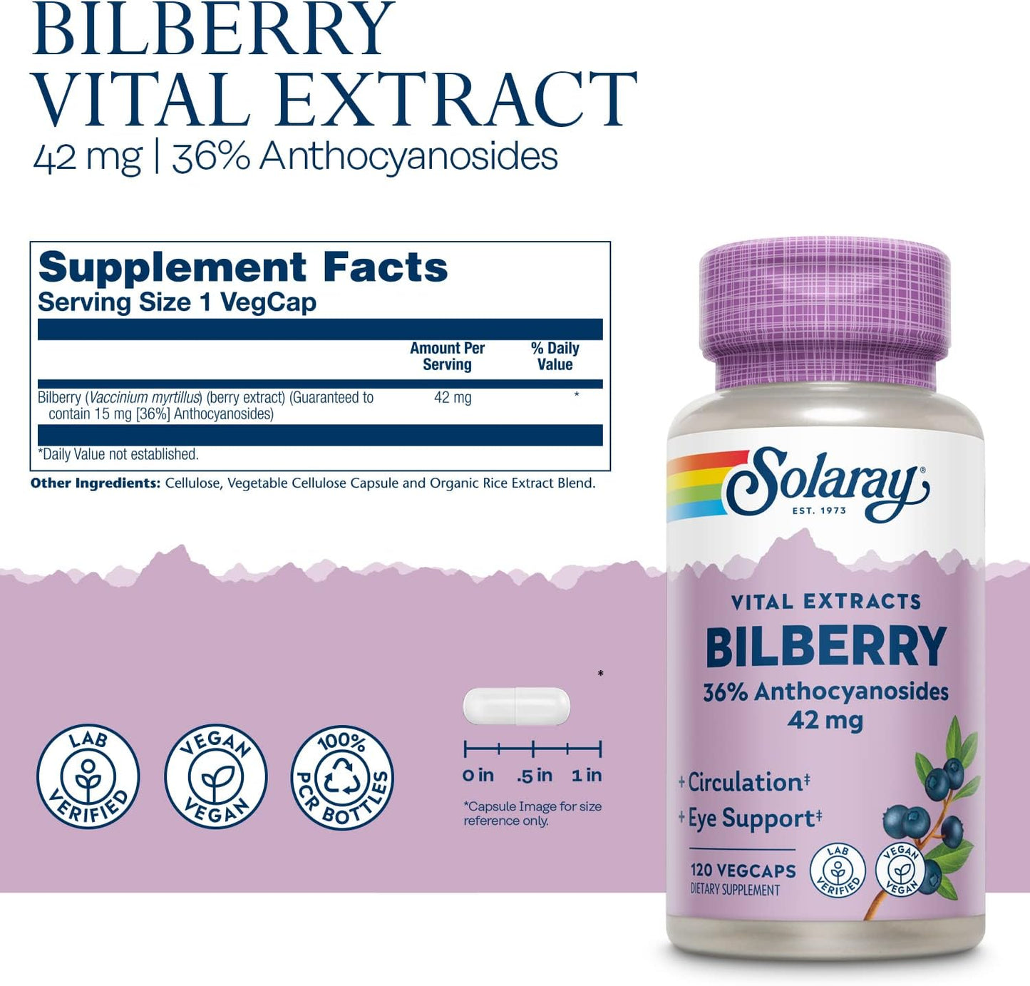 Solaray Bilberry Berry Extract 42mg VegCaps - Eye & Circulation Support, 36% Anthocyanosides, Vegan - 120 Count