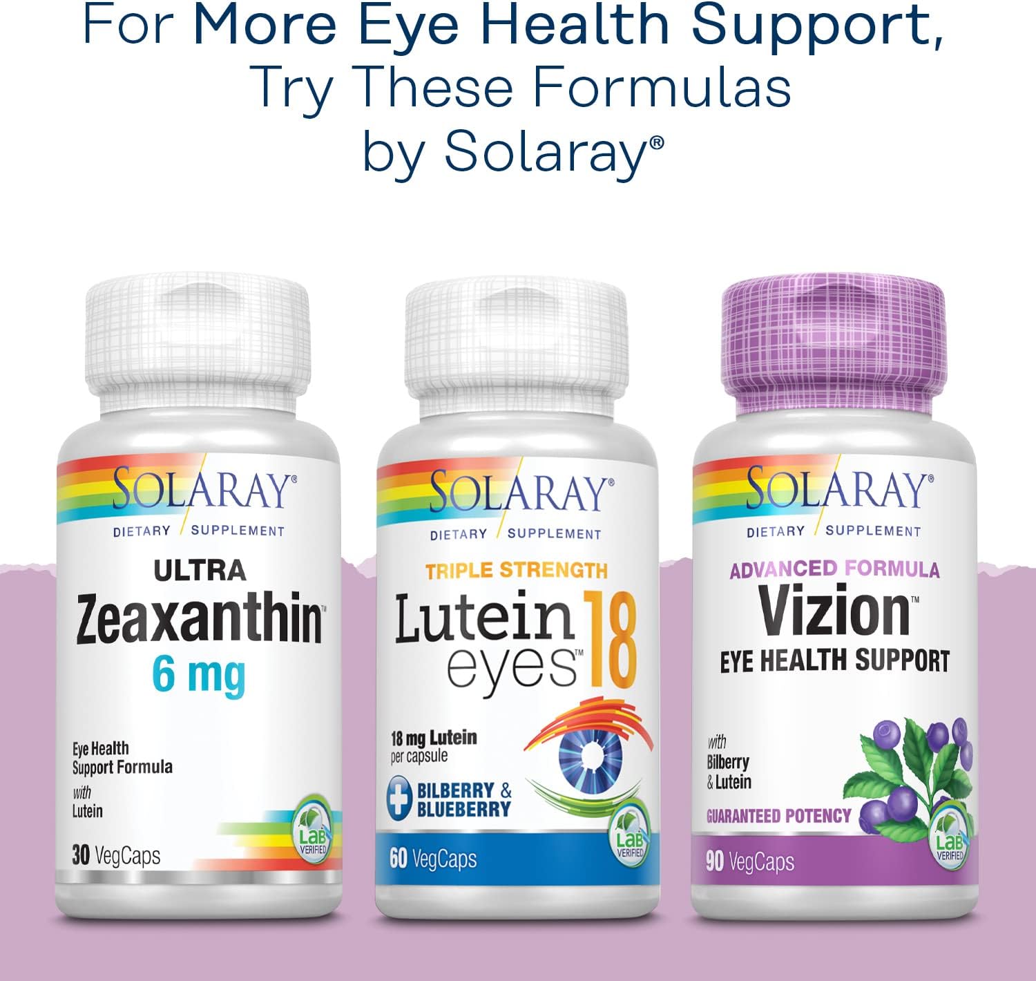 Solaray Bilberry Berry Extract 42mg VegCaps - Eye & Circulation Support, 36% Anthocyanosides, Vegan - 120 Count