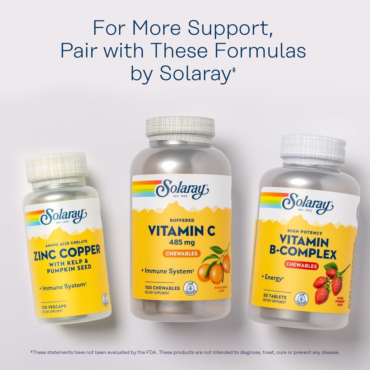 Solaray Chewable Buffered Vitamin C with Rose HIPS and Acerola Cherry - Immune Support Supplement with Gentle Digestion - Natural Orange Flavor - 100 Chewables, 100 Servings - 60-Day Guarantee
