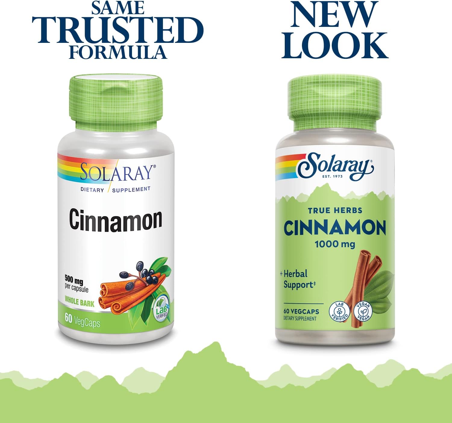 Solaray Cinnamon Bark Supplement | 1000mg | Supports Digestive Health & Antioxidant | 60 VegCaps