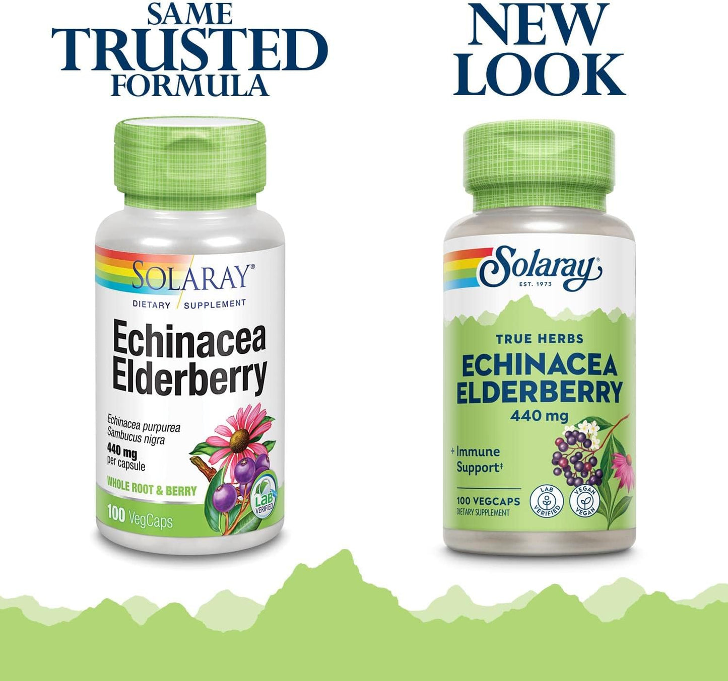 Solaray Echinacea and Elderberry Capsules - 440 mg | 100 Count - Immune Support Supplement