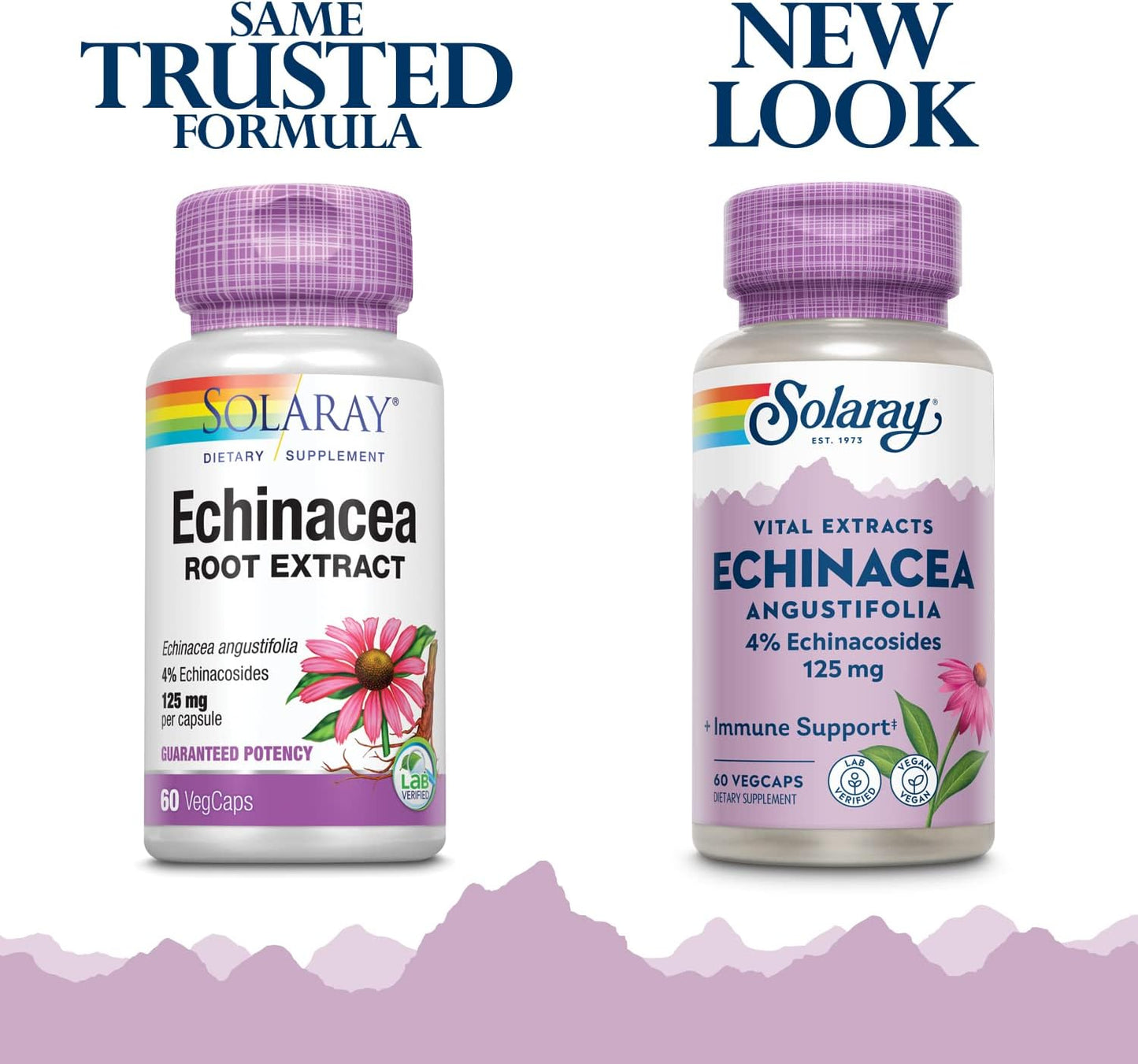 Solaray Echinacea Angustifolia Root Extract 125 mg Capsules - Immune & Respiratory Support - 60 VegCapsules