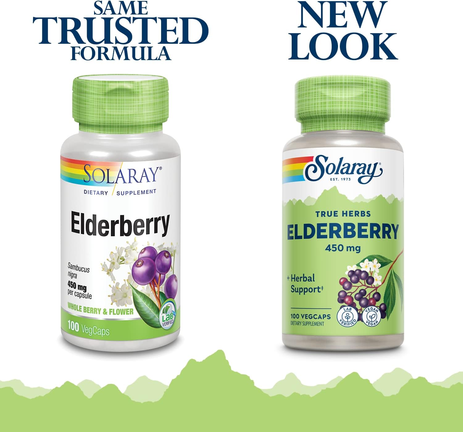 Solaray Elderberry Berry & Flower Capsules 450mg | Boost Immune System in Winter | Rich in Flavonoids & Phenolic Compounds | Non-GMO | 100 Count
