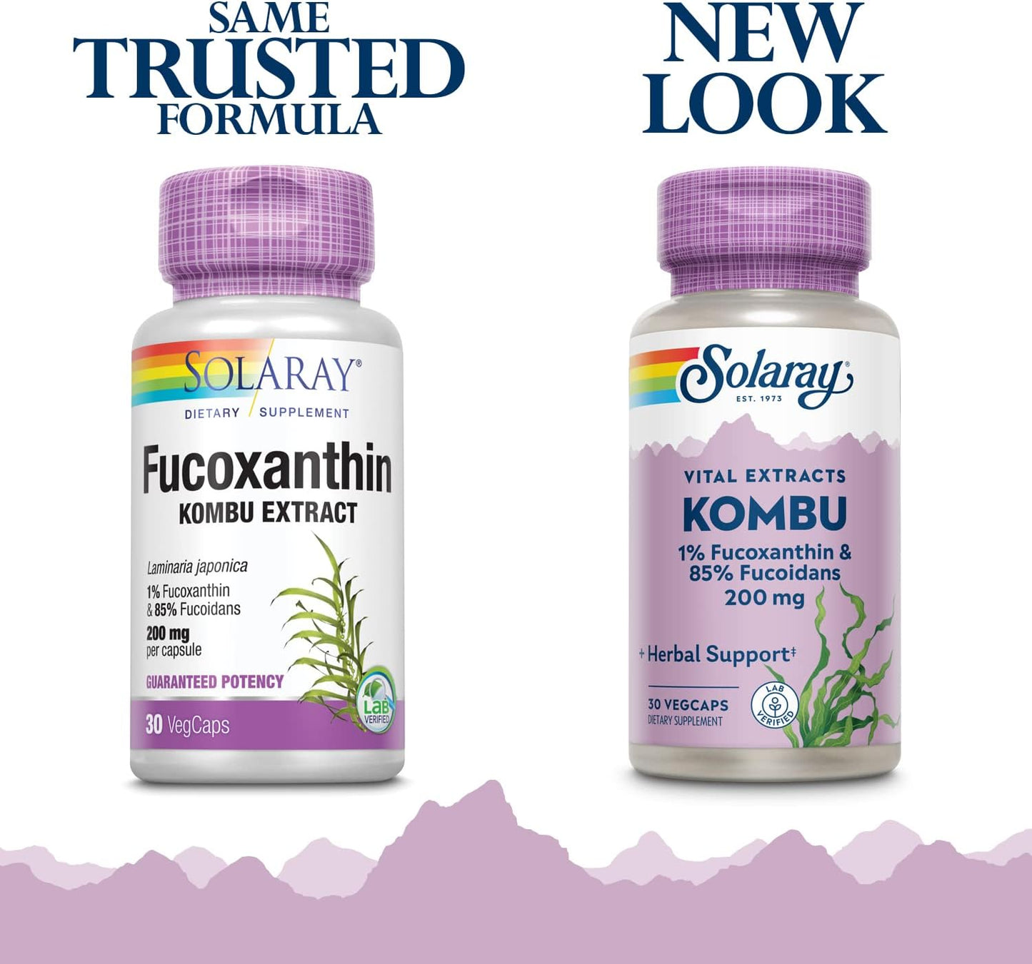 Solaray Fucoxanthin Special Formula Capsules - Vegetarian, 400mg | 30 Count Bottle