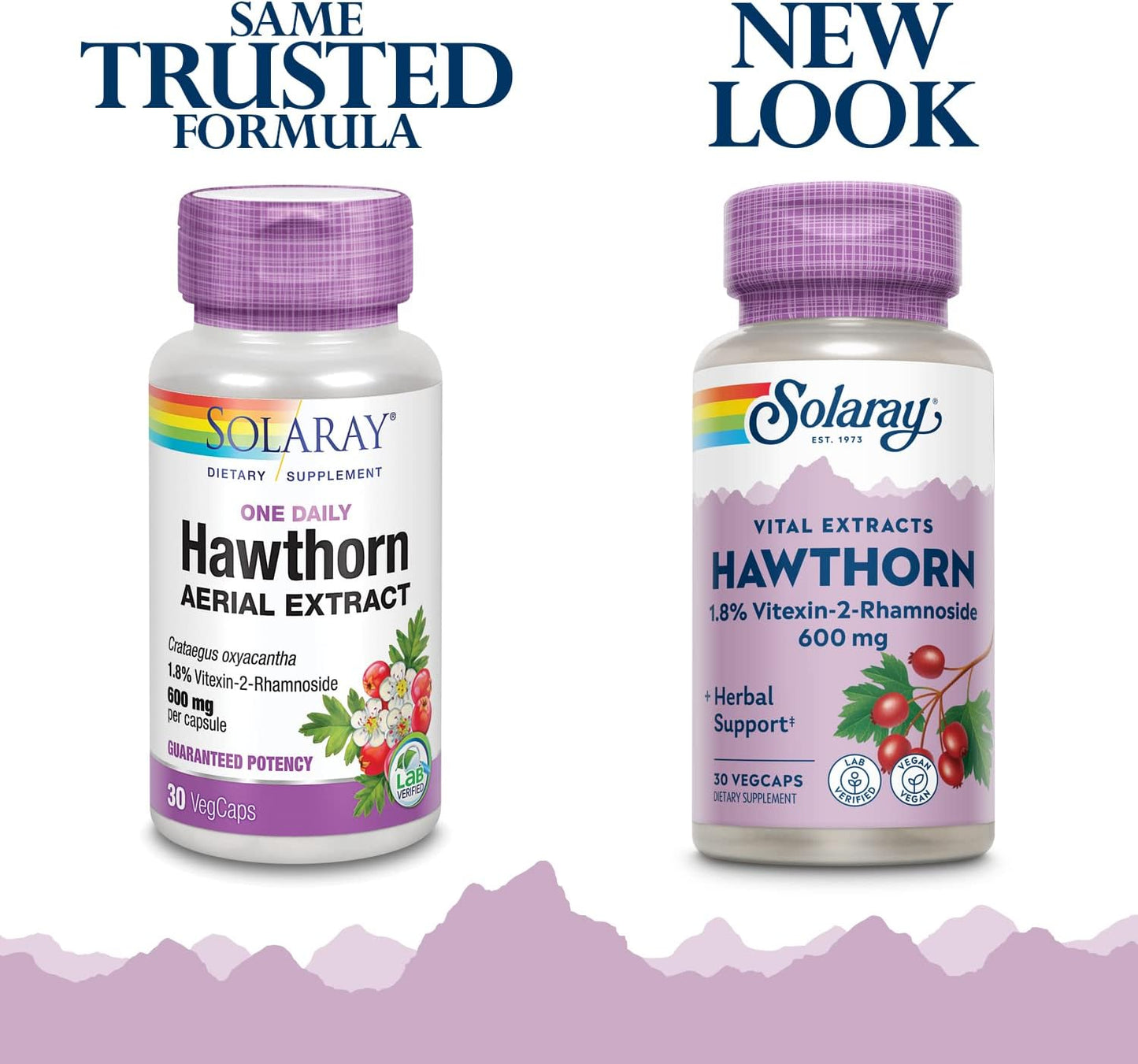 Solaray Hawthorn Extract Supplement - 600mg Capsules for Daily Use | 30 Count Bottle