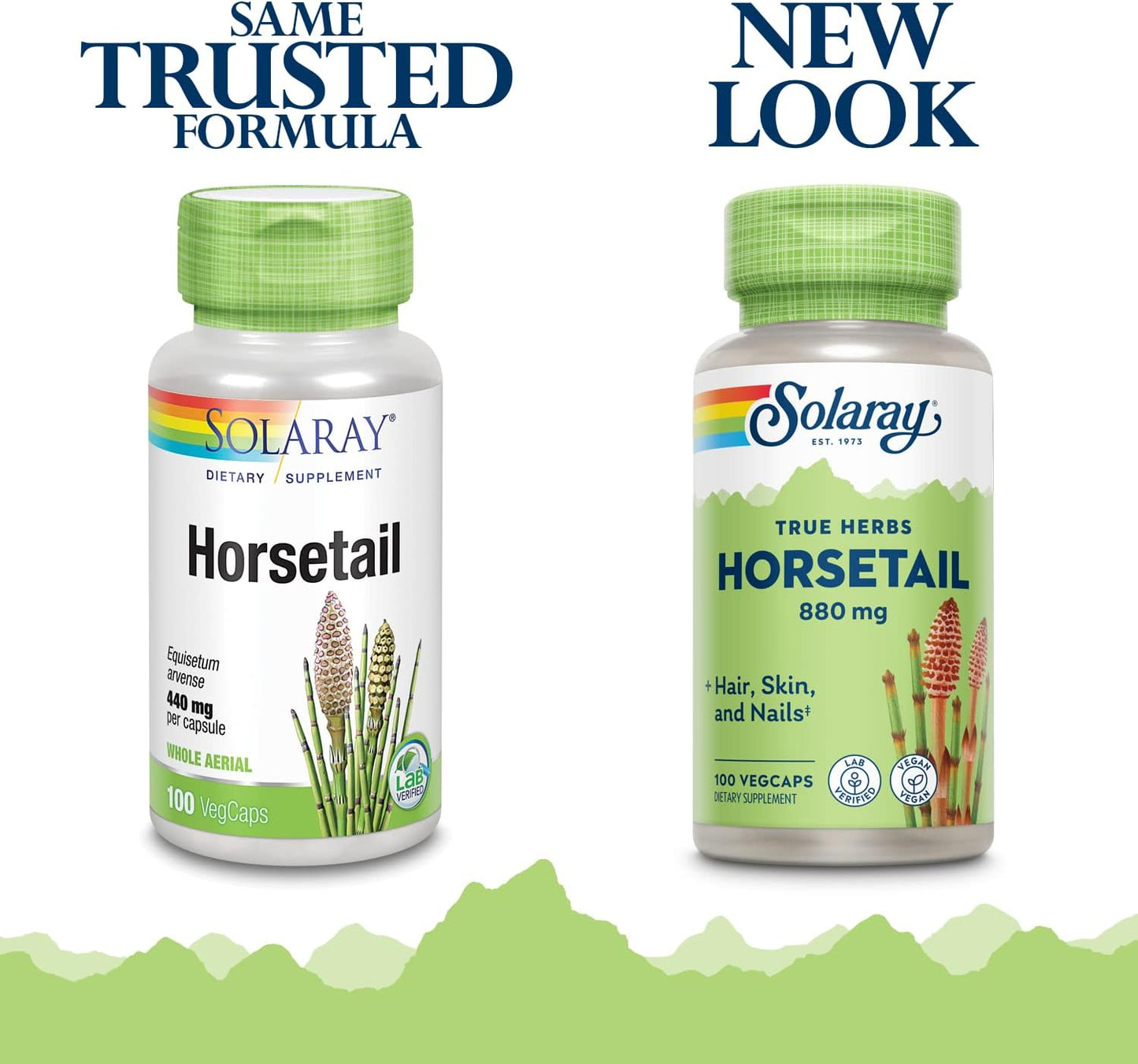 Solaray Horsetail Shavegrass Capsules - 440mg, 100 Count - Herbal Supplement for Hair, Skin, and Nails