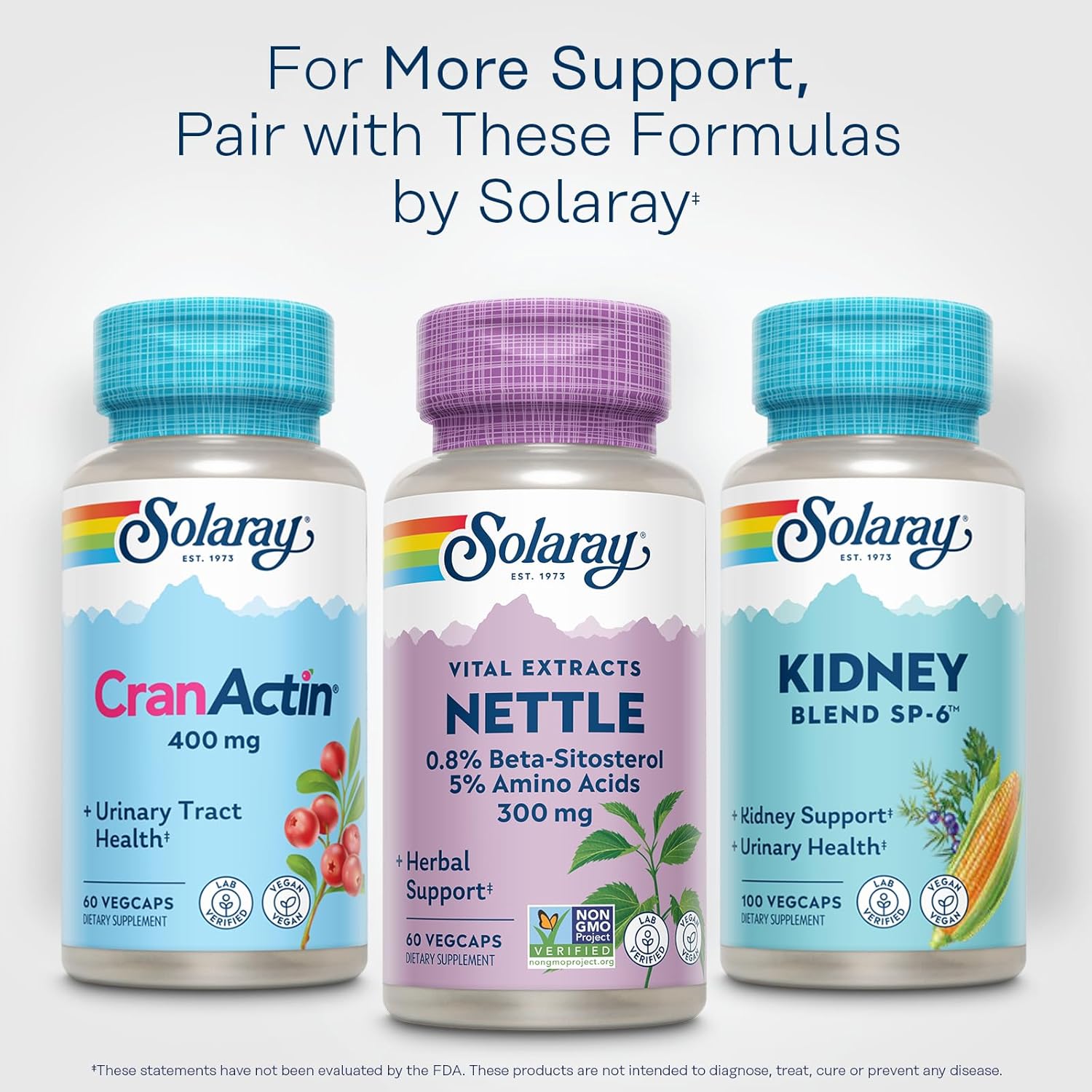 Solaray Nettle Root Extract 300mg with Amino Acids, Beta-Sitosterol - Urinary & Prostate Support for Men - Vegan - 60 Servings