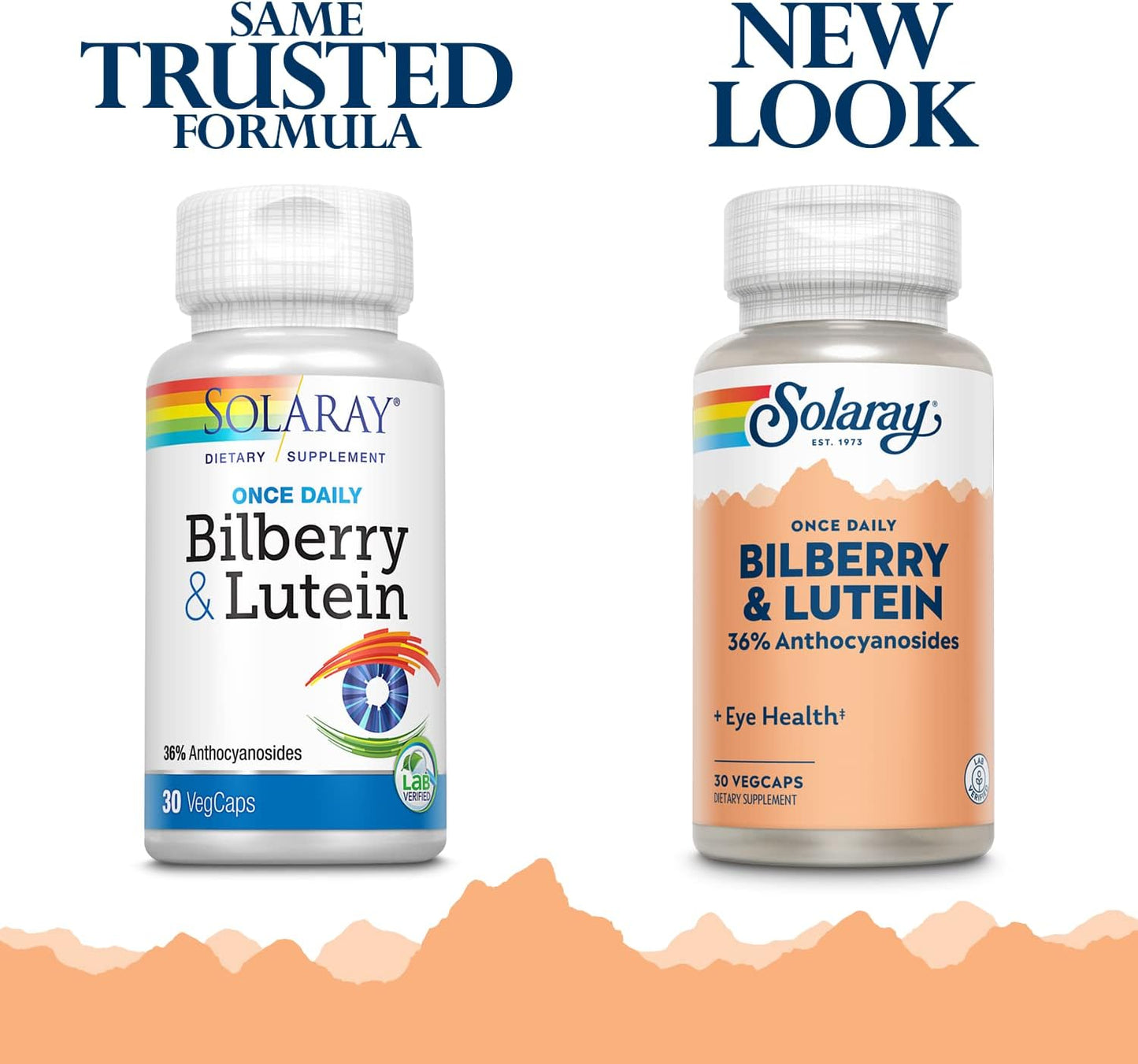 Solaray One Daily Bilberry and Lutein Supplement - 30 Count, 160 mg Capsules