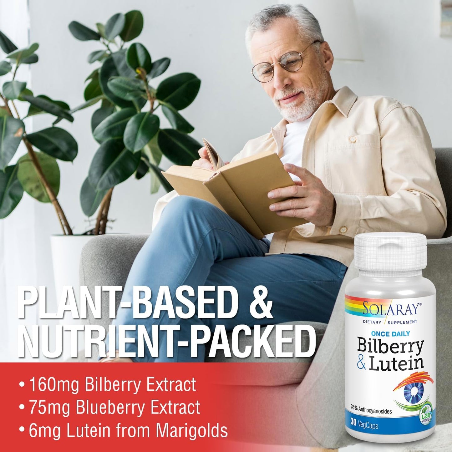 Solaray One Daily Bilberry and Lutein Supplement - 30 Count, 160 mg Capsules