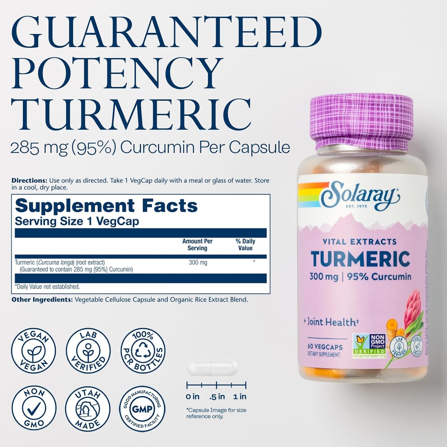 Solaray Turmeric 300mg Capsules - Joint and Heart Health Support - Vegan Formula with 95% Curcumin - Lab Verified - 60 Capsules