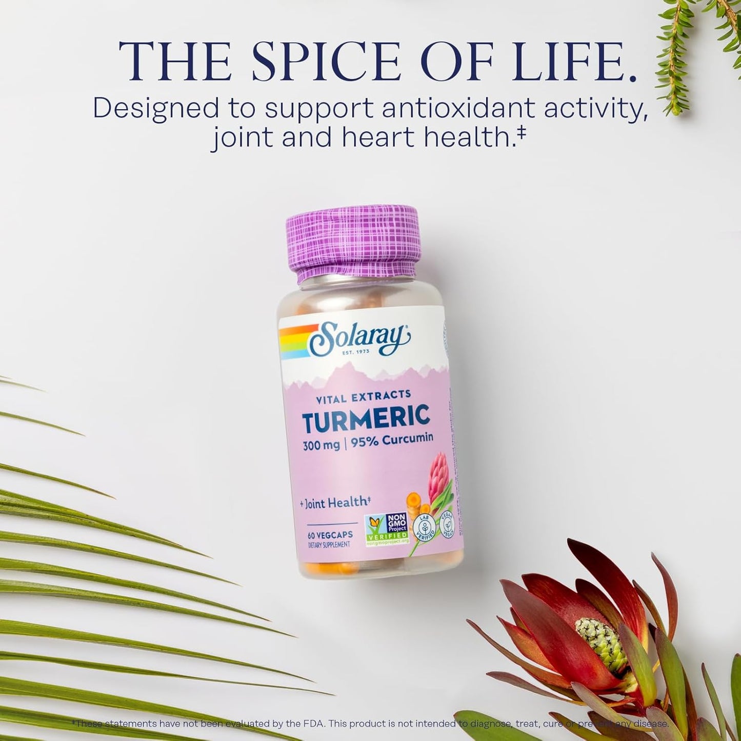 Solaray Turmeric 300mg Capsules - Joint and Heart Health Support - Vegan Formula with 95% Curcumin - Lab Verified - 60 Capsules