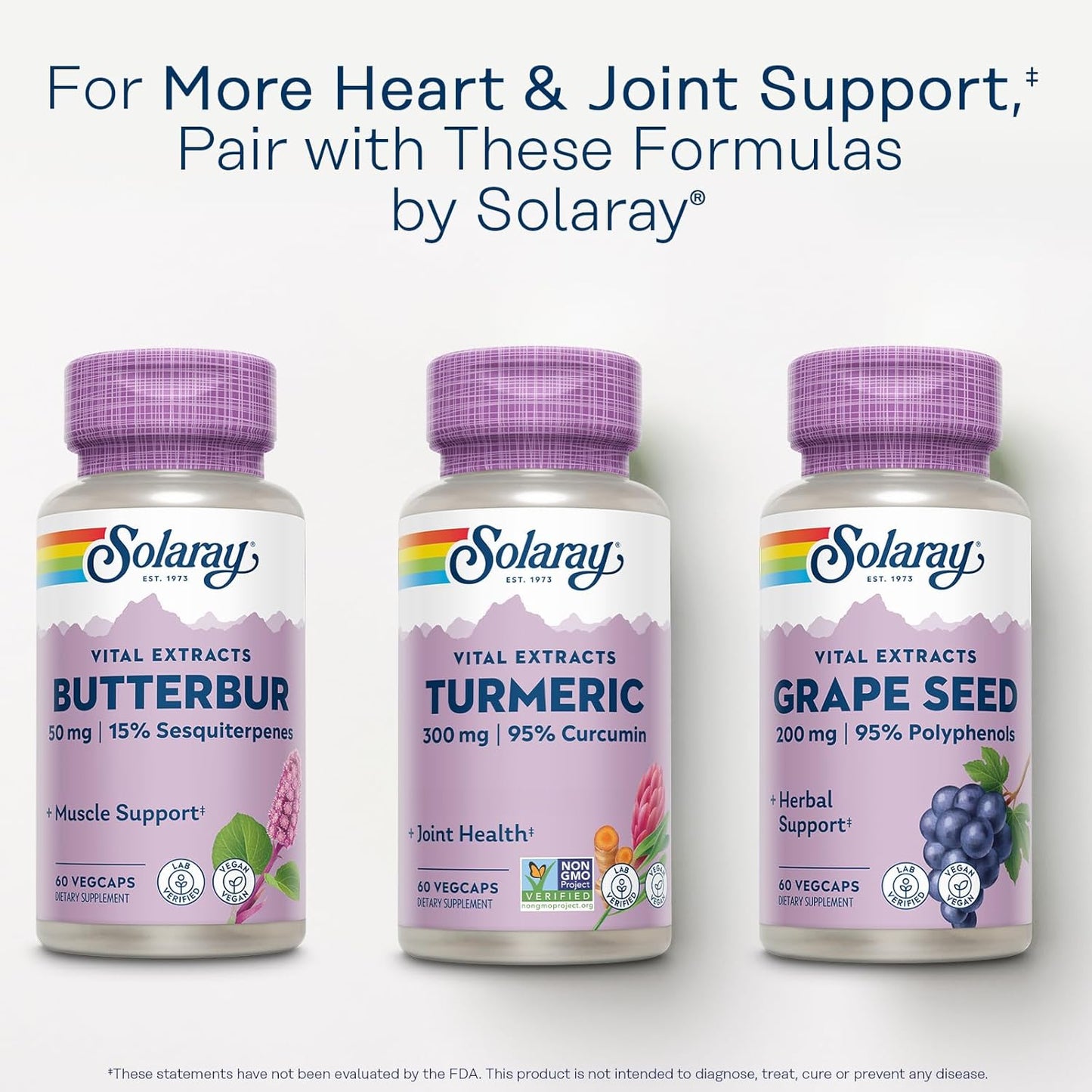 Solaray Turmeric 300mg Capsules - Joint and Heart Health Support - Vegan Formula with 95% Curcumin - Lab Verified - 60 Capsules
