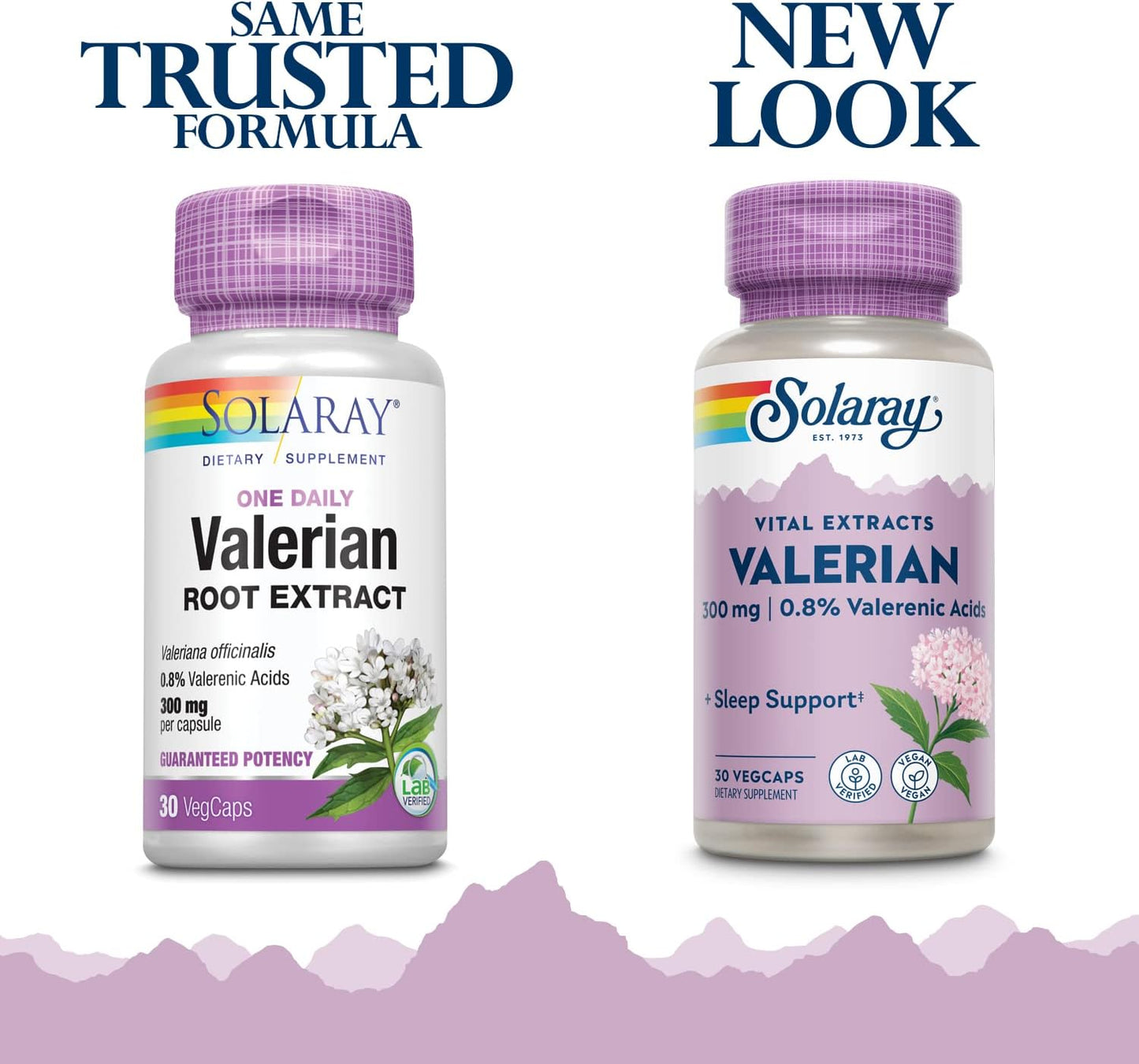 Solaray Valerian Root Extract One Daily Capsules - 300mg (30 Count) | Guaranteed Potency Veg Capsules
