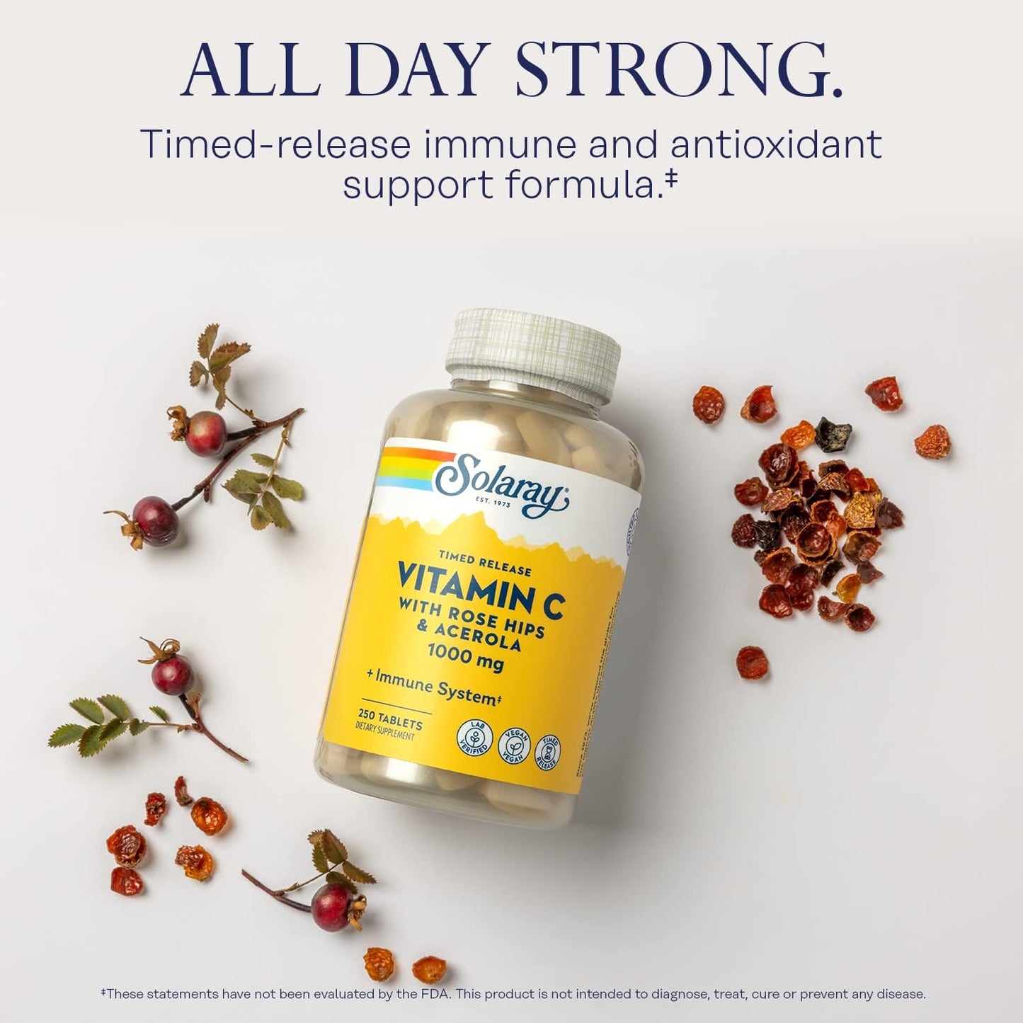 Solaray Vitamin C with Rose Hips and Acerola 1000mg Timed-Release Capsules for Immune Support, Skin Health, Non-GMO - 250 Count