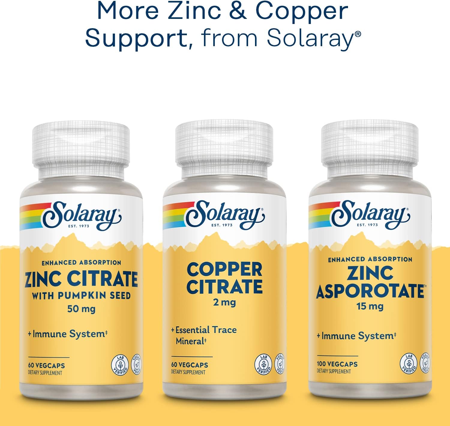Solaray Zinc with Copper 100 VegCapsules - Immune Support and Antioxidant Supplement