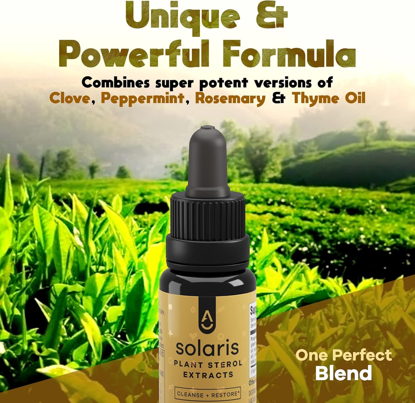 Solaris Immune Booster Oil Blend with Plant Based Eugenol - Raw Liquid Vitamins (15 ml)