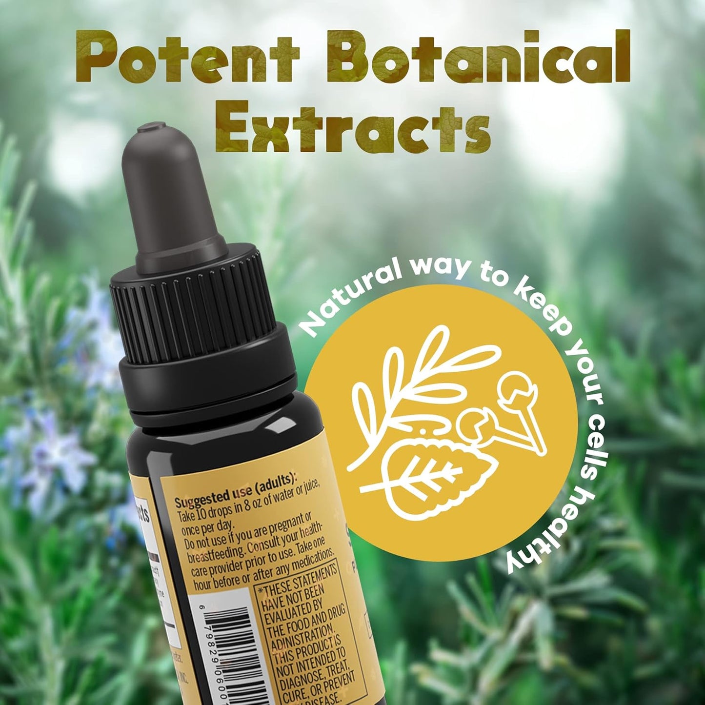 Solaris Immune Booster Oil Blend with Plant Based Eugenol - Raw Liquid Vitamins (15 ml)