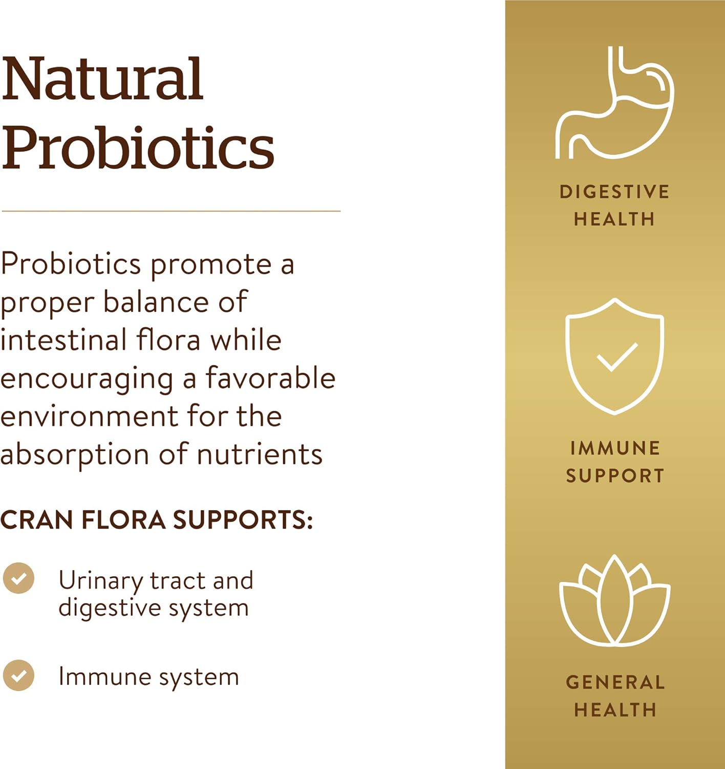 Solgar Cran Flora Capsules with Probiotics, Ester-C, and Cranberry Powder - Supports Urinary Tract, Immune, and Intestinal Health - Non-GMO, Vegan, Gluten-Free, Dairy-Free - 60 Veggie Capsules