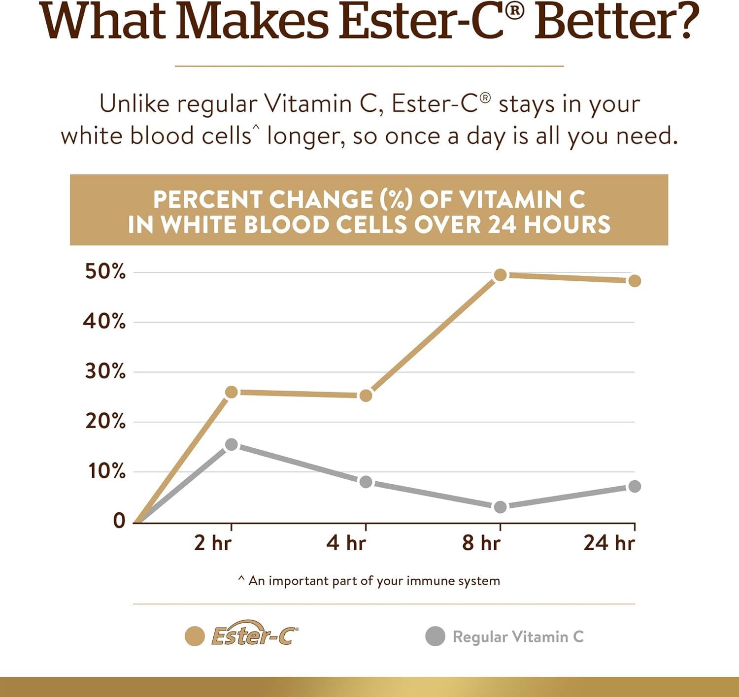 Solgar Ester-C Plus Immune Complex Softgels - 24-Hour Support for Immune System, Respiratory Health - D3, Zinc, Elderberry, Echinacea - Non-GMO, Gluten Free - 60 Servings