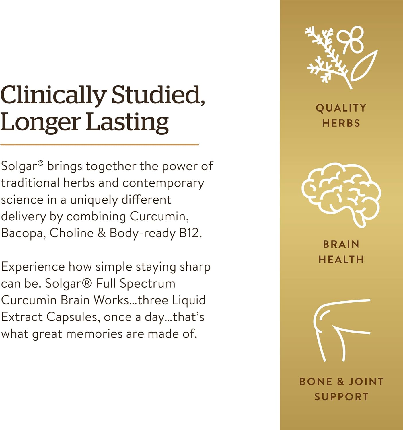 Solgar Full Spectrum Curcumin Brain Support Licaps - Memory Recall, Focus, Cognitive Function - Antioxidant Blend with BacoMind, Choline, Vitamin B12 - Non-GMO, Vegan - 30 Servings