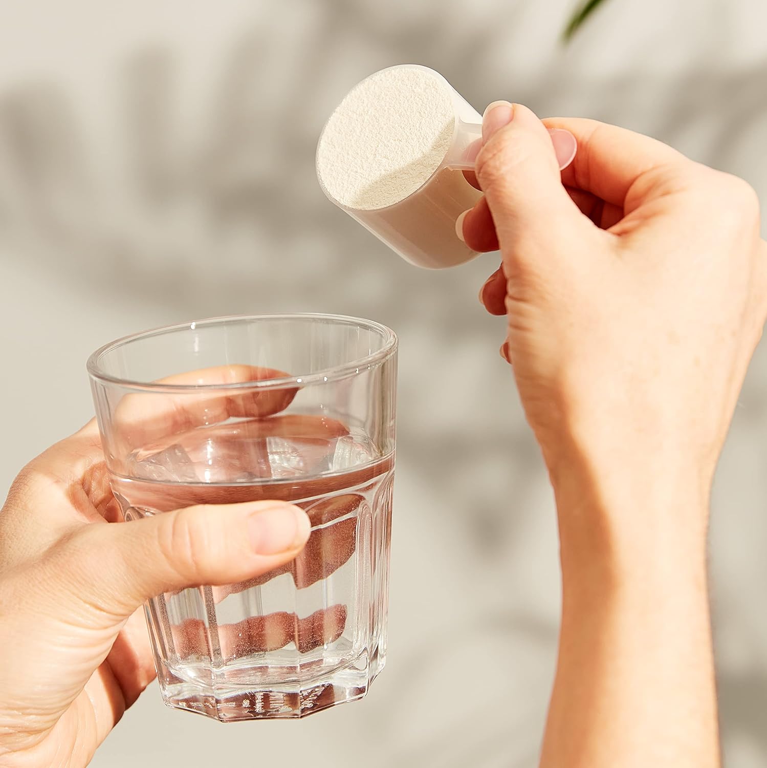 Solgar Grass-Fed Whey Protein Powder Vanilla 11.9 oz - 20g Protein from New Zealand Cows - Supports Strength & Recovery - 13 Servings