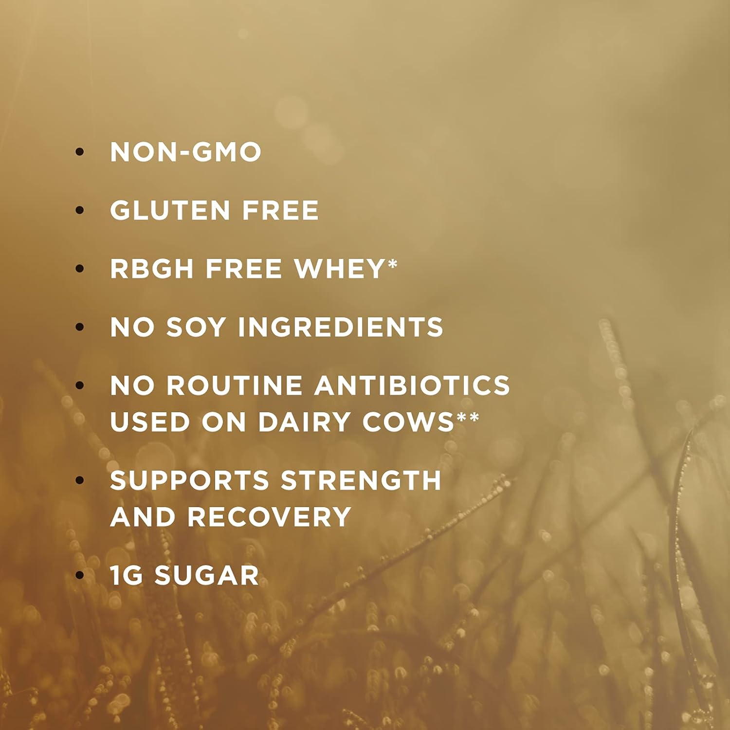 Solgar Grass-Fed Whey Protein Powder Vanilla Flavor, 2lb - 20g Protein from New Zealand Cows - Supports Strength & Recovery - 36 Servings