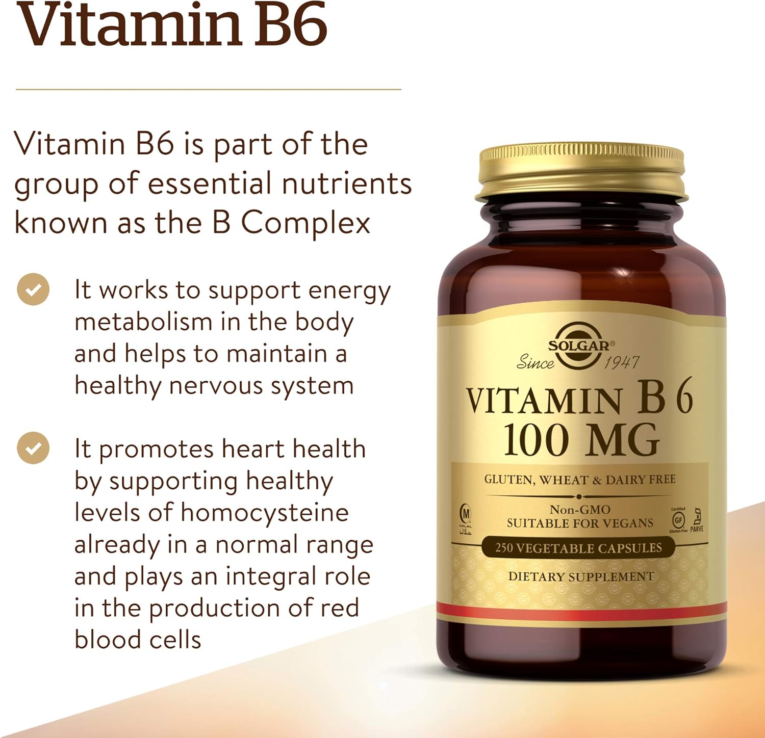 Solgar Vitamin B6 100 mg Capsules - Supports Energy, Heart Health & Nervous System - Non-GMO, Vegan, Gluten Free - 250 Servings