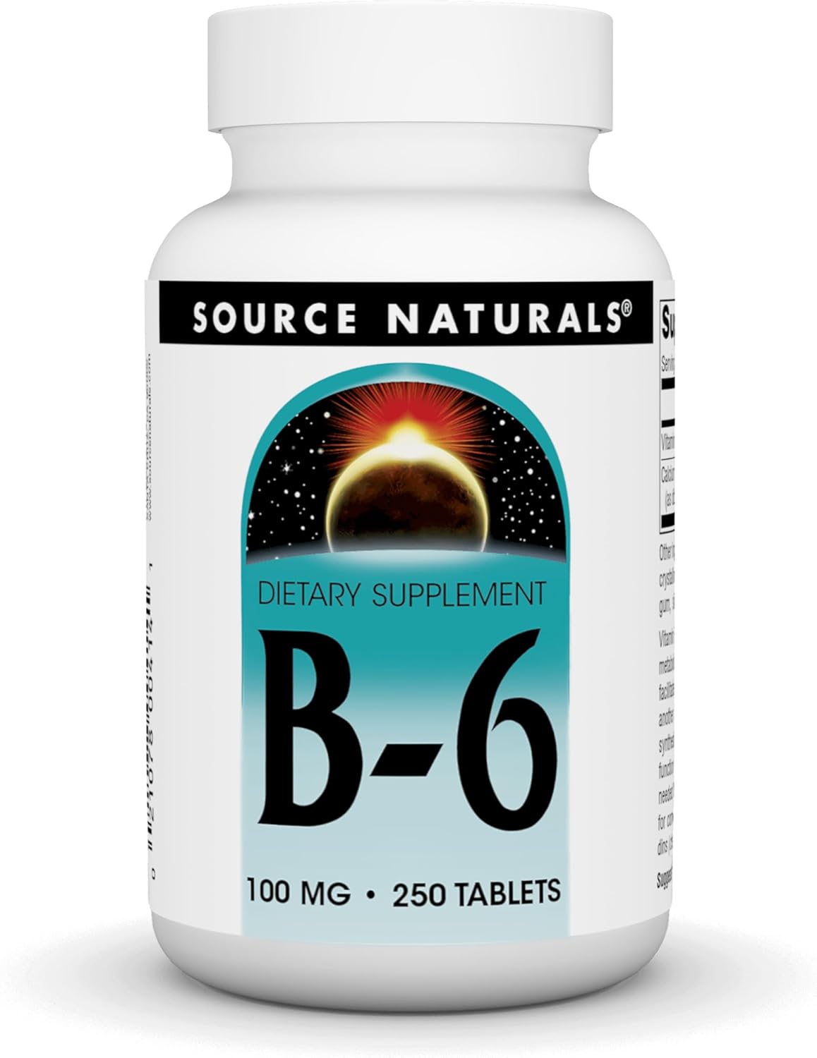 Source Naturals Vitamin B-6 100mg Tablets for Immune System Support - 250 Count