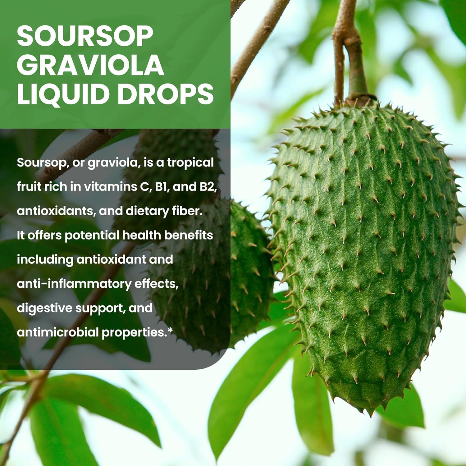 Soursop Graviola Liquid Drops 1500mg with Green Tea, Black Seed Oil, Turmeric, Vitamin C - Cell Support & Immune Booster for Antioxidant Benefits - Natural Flavor, 4 Fl Oz