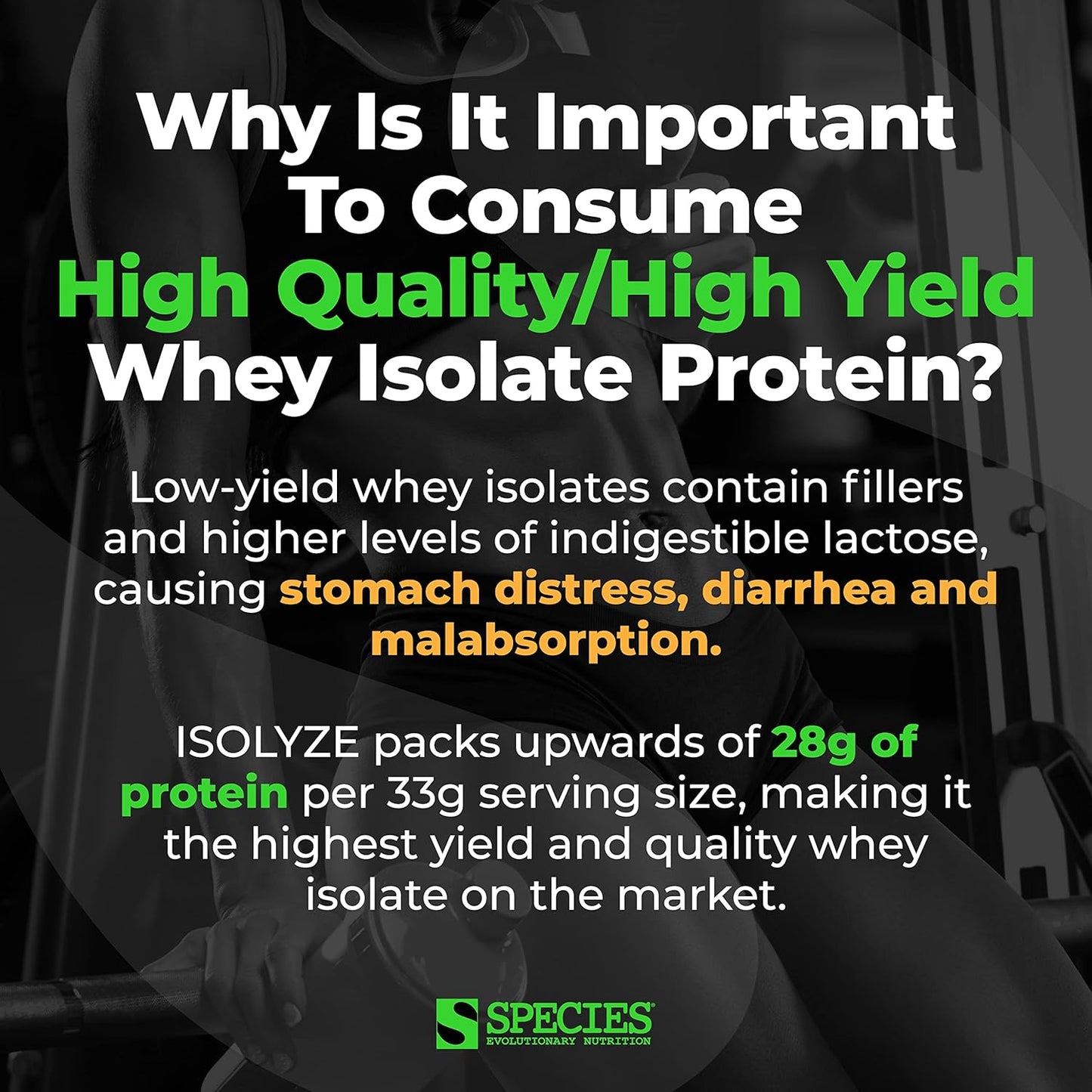 Species Nutrition Isolyze Whey Protein Powder - Chocolate Milk Flavor - 100% Whey Isolate for Muscle Building - 27.5g Protein Per Scoop - No Sugar, Low Fat - 44 Servings