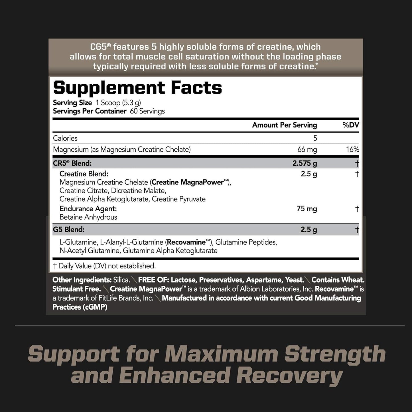Sports Performance Bundle: PMD Sports Ultra Pump Fuel Insanity Pre Workout + CG5 Premium Creatine and L-Glutamine Powder