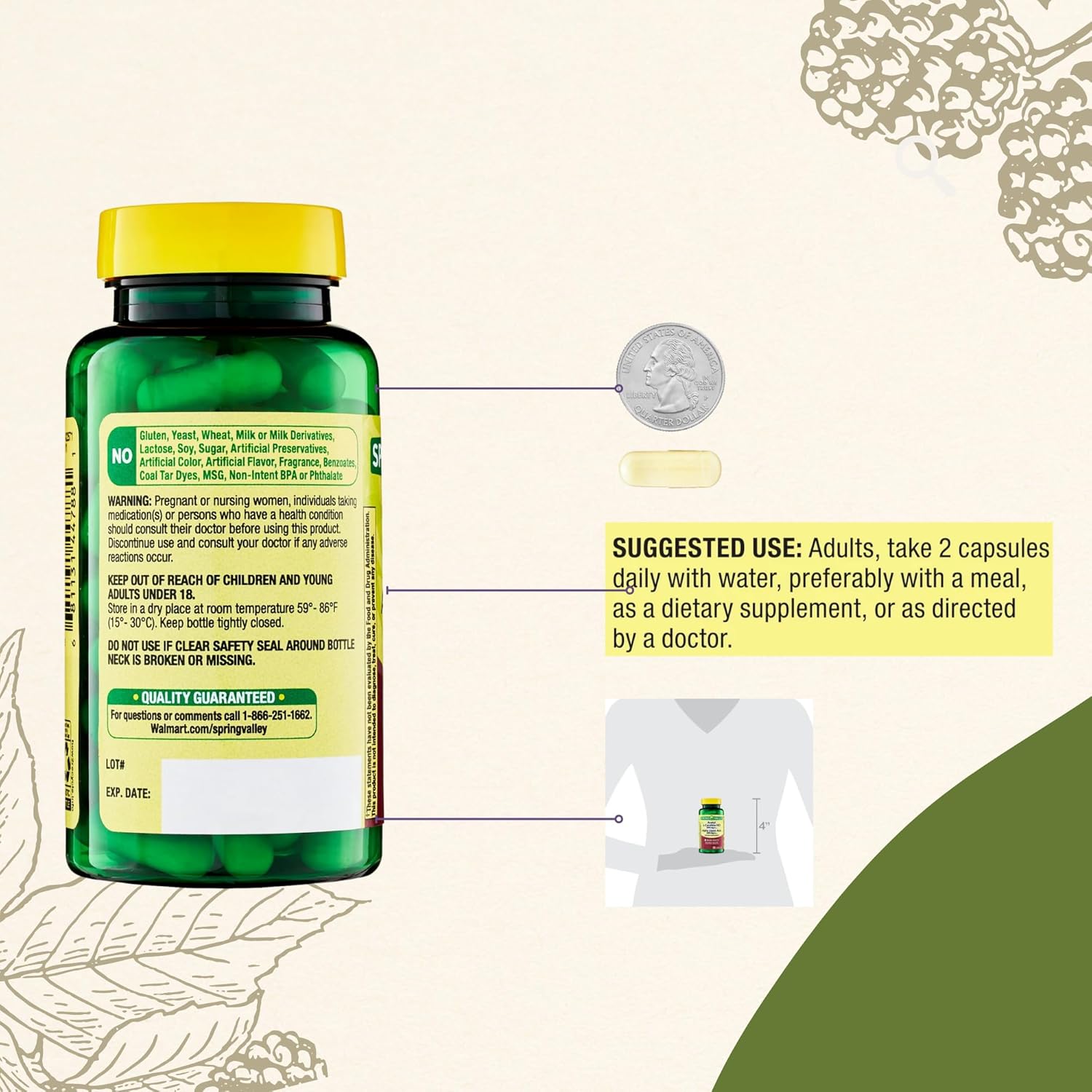 Spring Valley Acetyl L-Carnitine HCI 400 mg + Alpha Lipoic Acid 200 mg Capsules - 50 Count Pack - Venancio's Shop