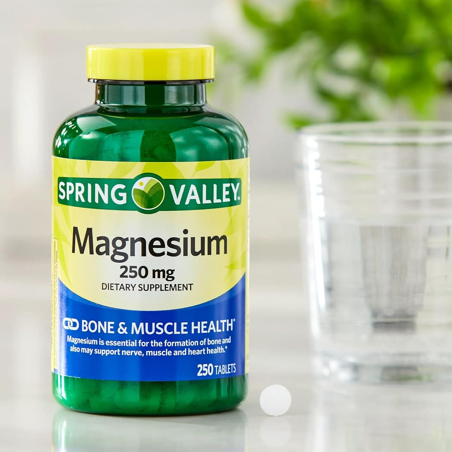 Spring Valley Magnesium Oxide 250mg Tablets - 250 Count Bundle for Women's Bone & Muscle Health - Dietary Supplement with Diabetes Decoded E-book by Lual - Best Quality Magnesium Supplement
